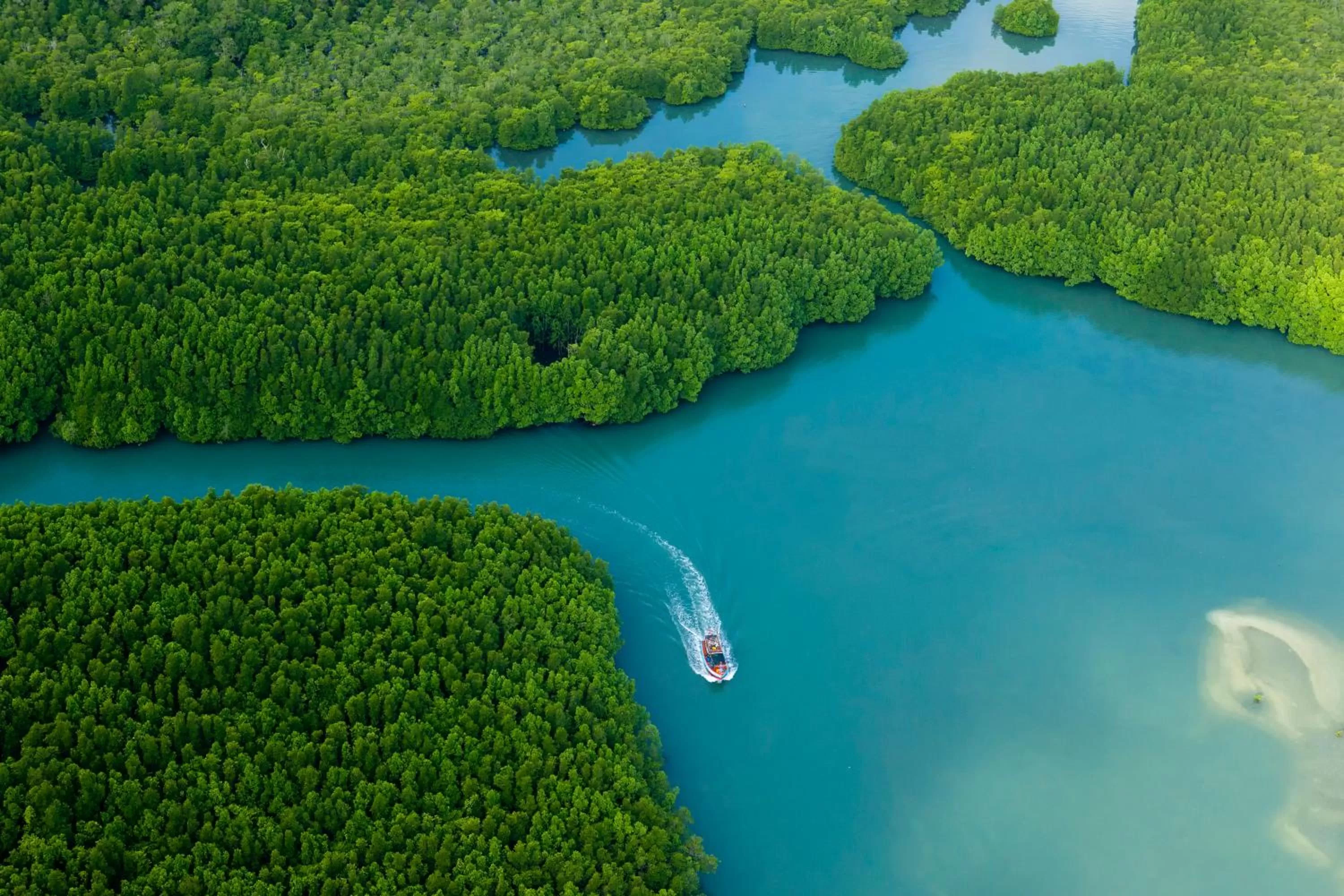 Off site in SYLVAN Koh Chang
