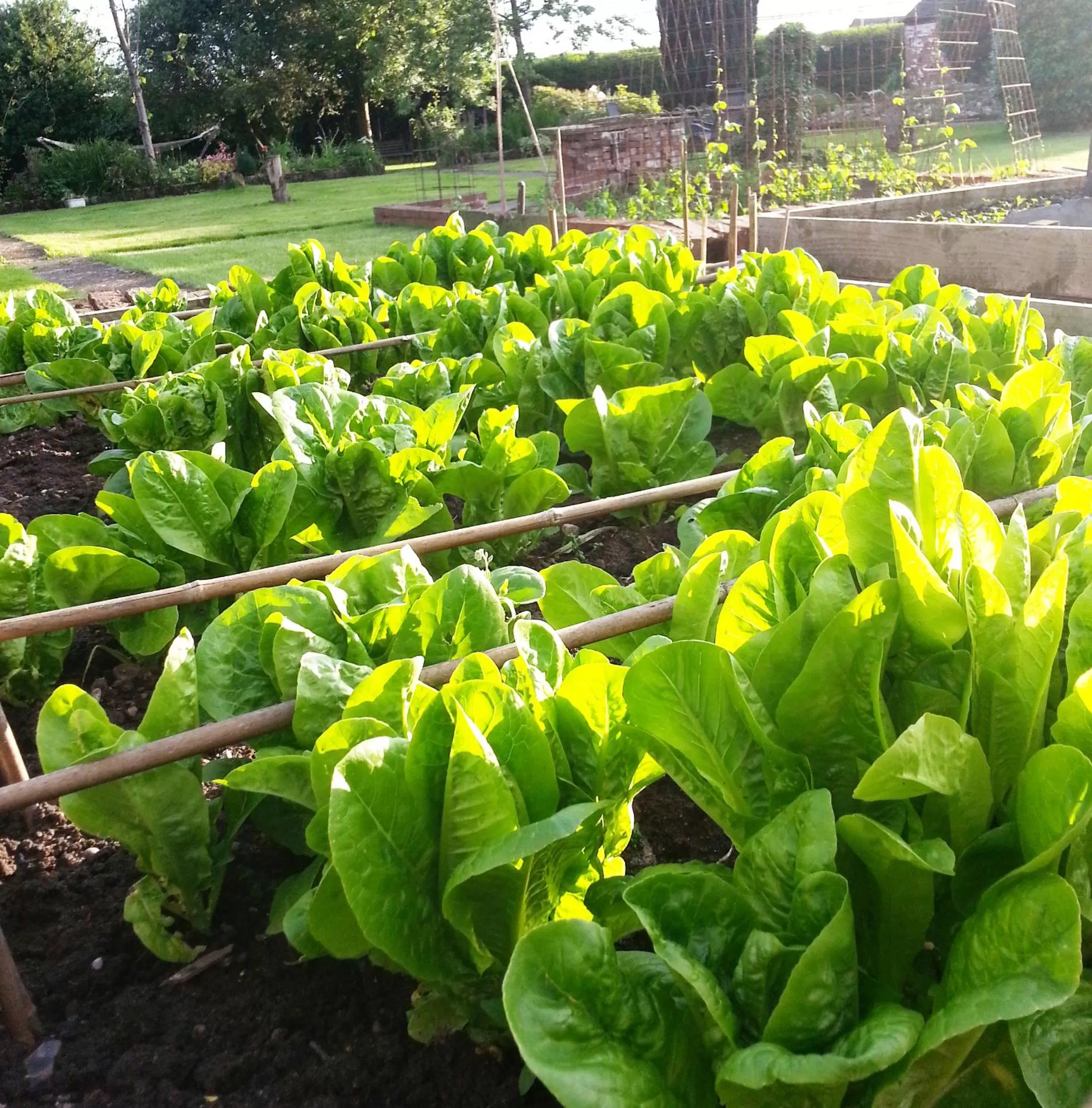 Garden in Ternhill Farm House - 5 Star Guest Accommodation with optional award winning breakfast