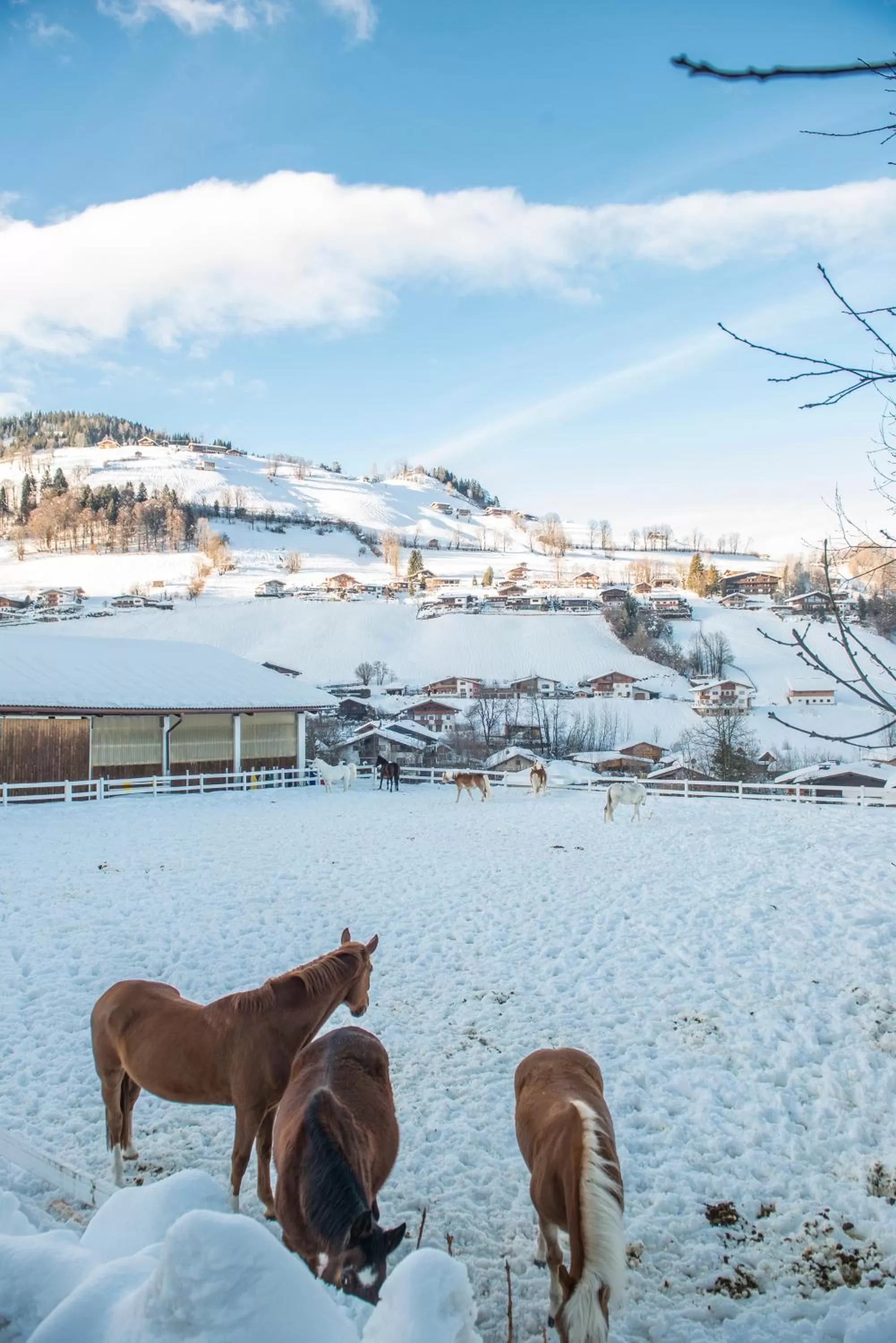 Spring in Hotel Der Wastlhof - direkt an der Skipiste Wellness & Spa