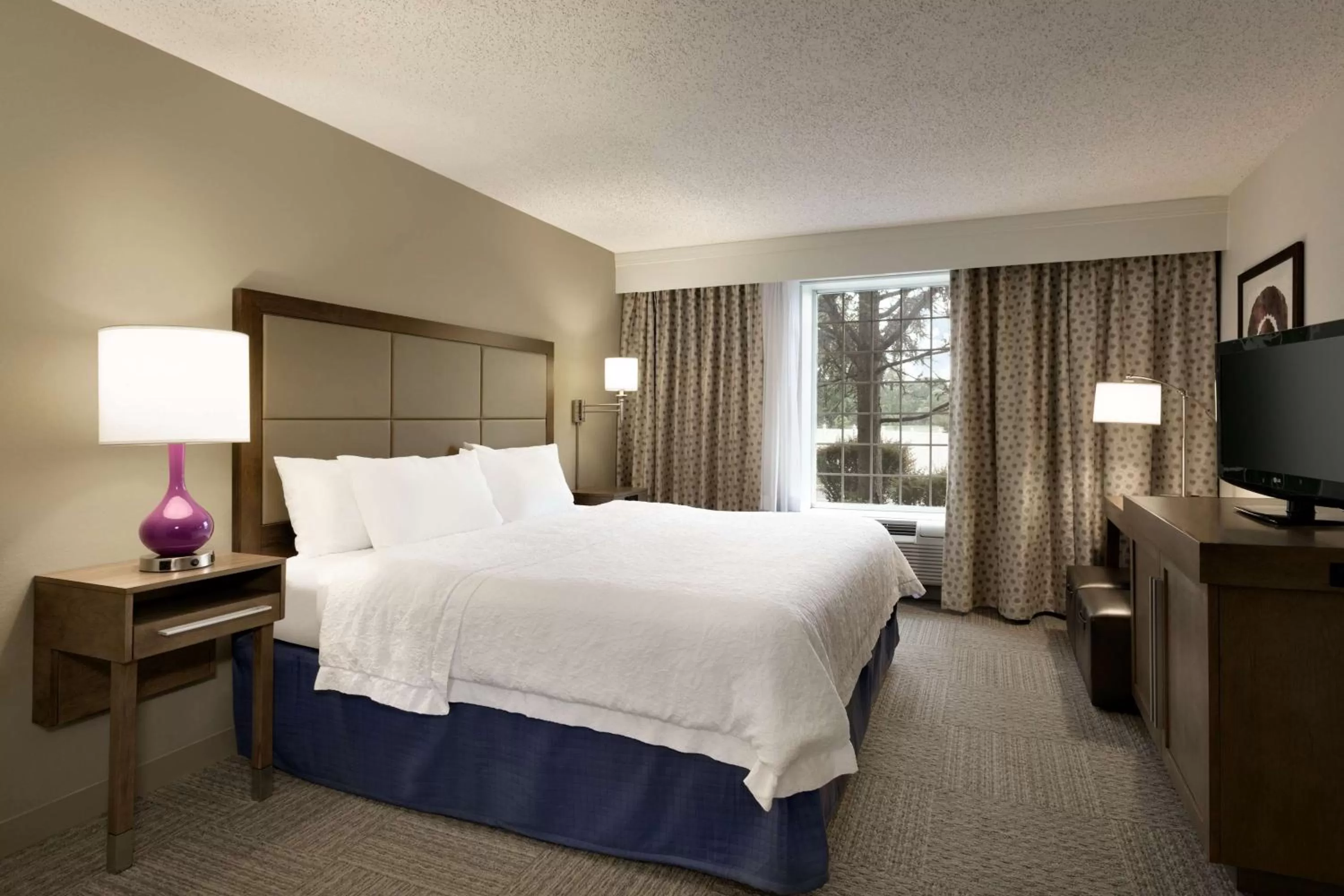 King Room - Disability Access Hearing Accessible - Non-Smoking in Hampton Inn & Suites Hershey