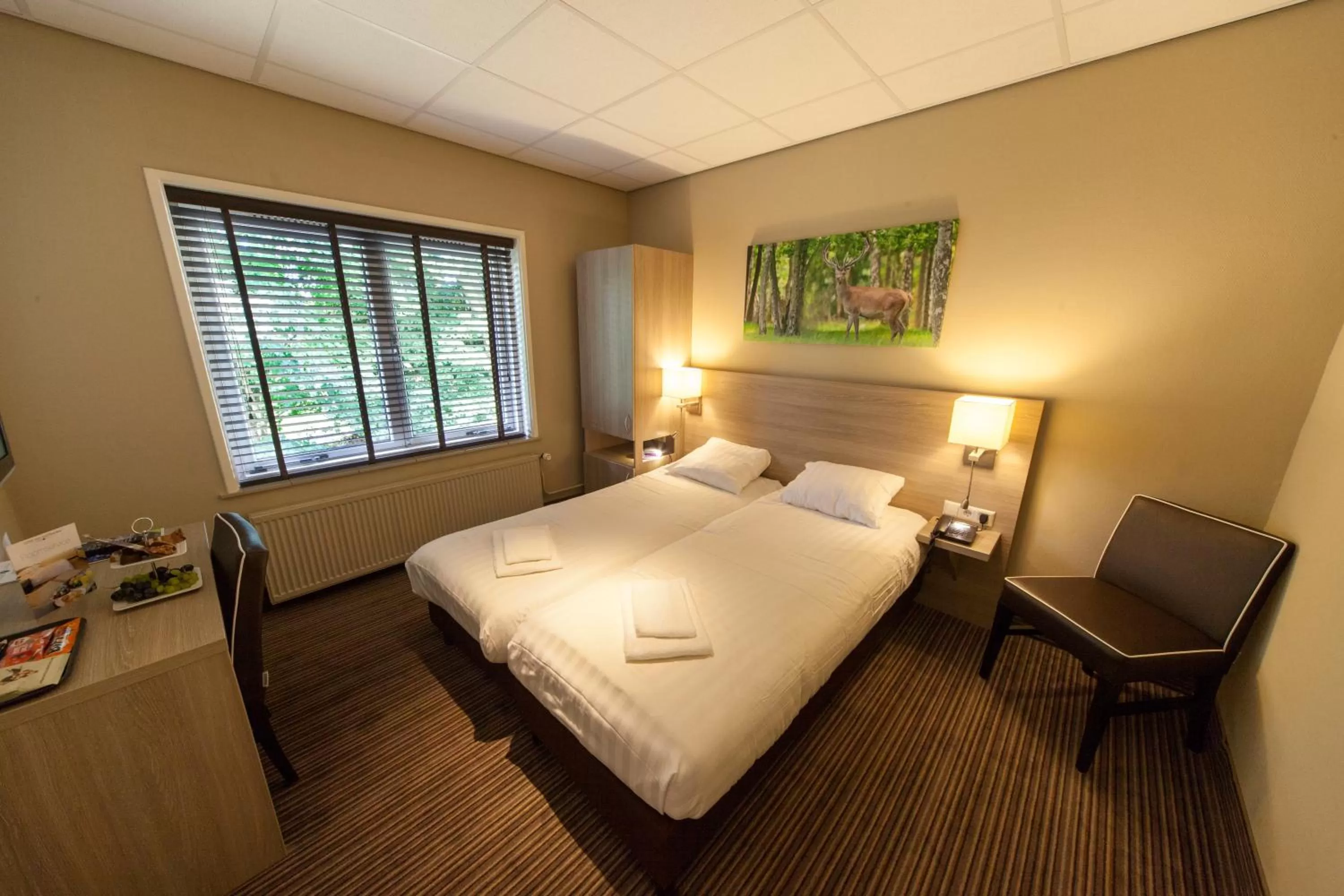 Small Double Room in Fletcher Hotel Het Veluwse Bos
