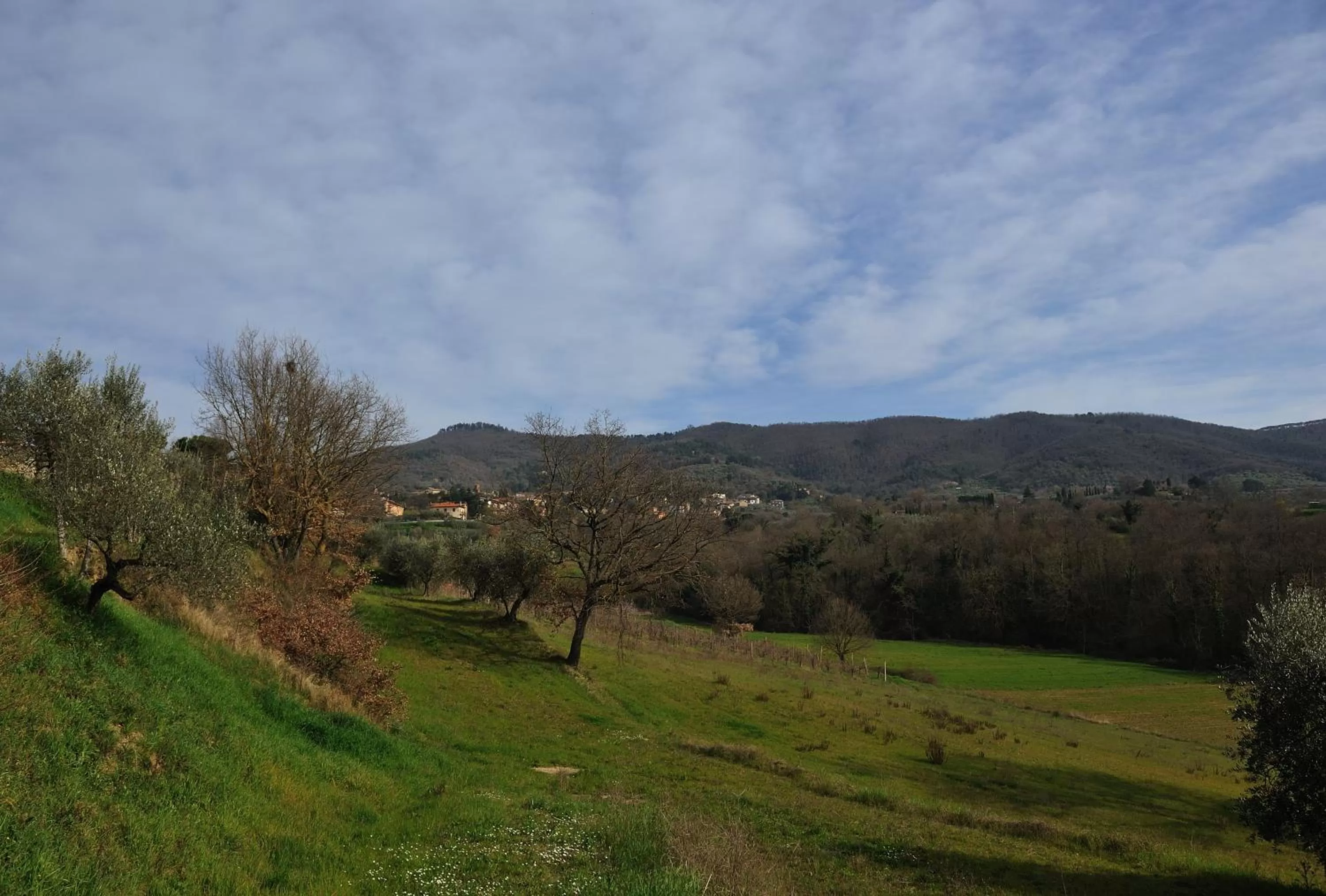 Area and facilities in Tenuta Badia '99