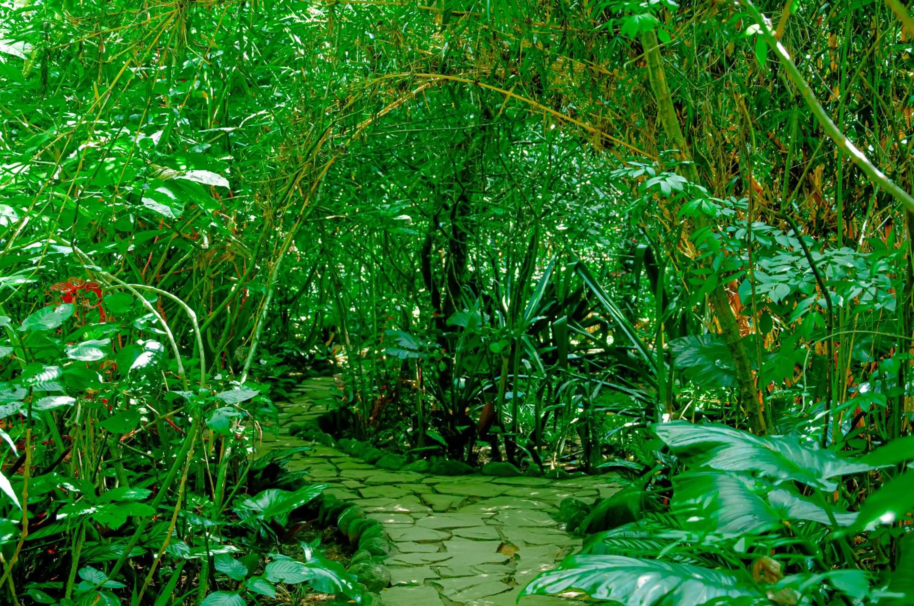 Garden in Fravan Eco Resort By Apogee