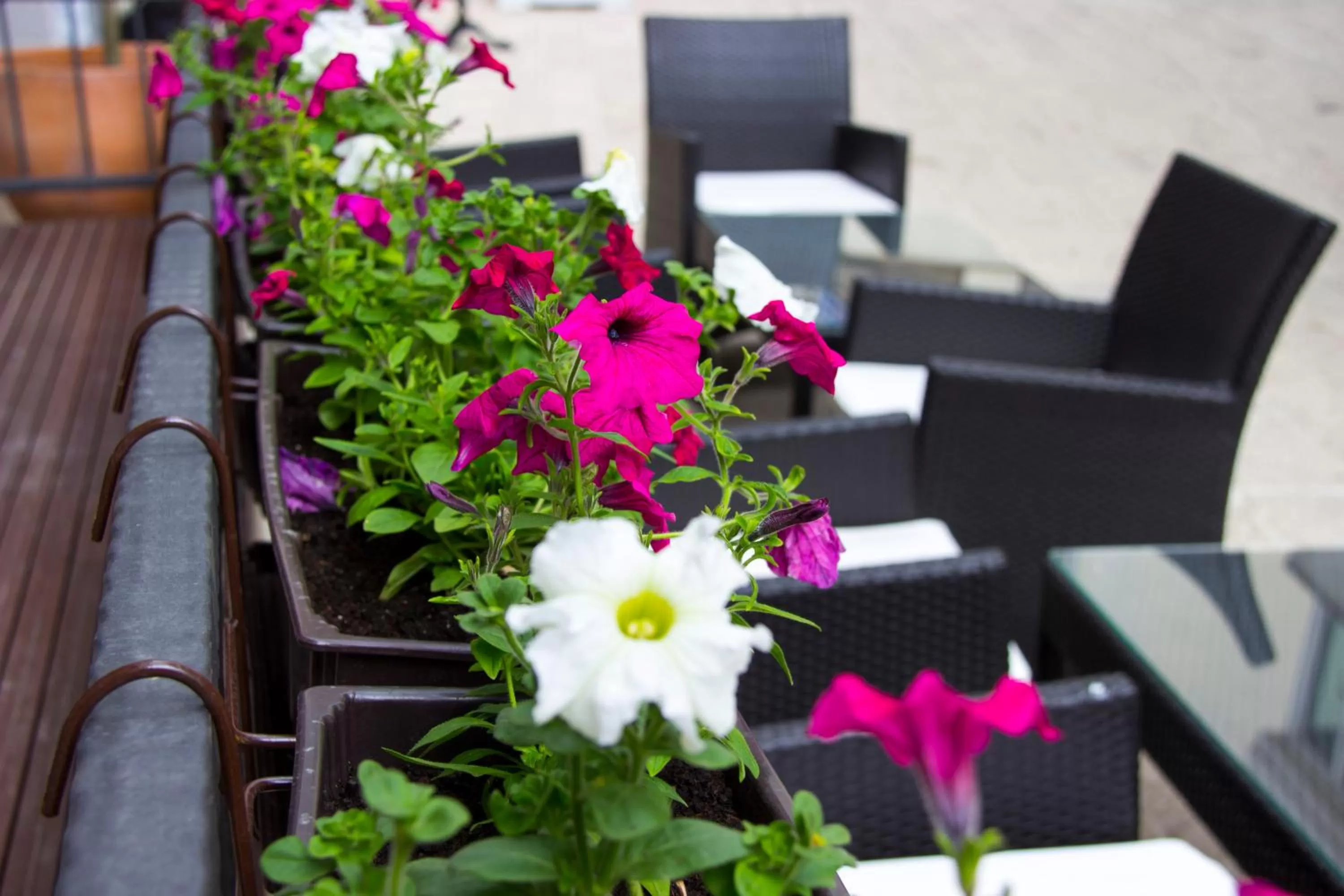 Property building in Hotel & Rooms Lombrelle