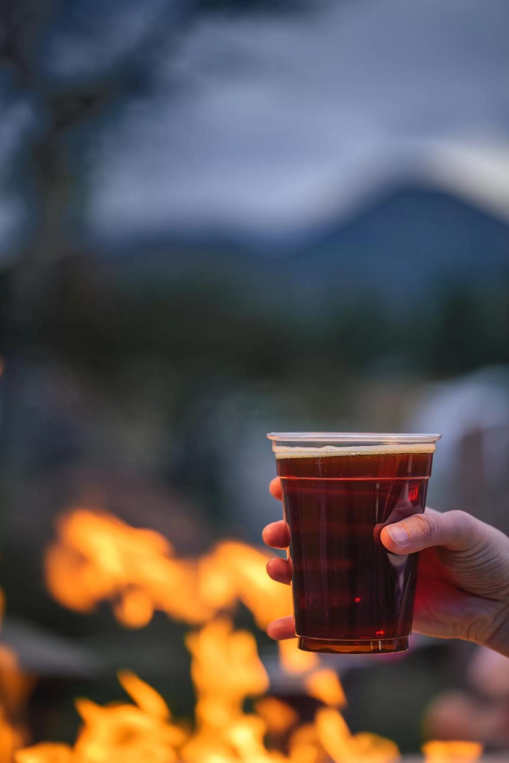 flat iron in Holiday Inn Estes Park by IHG