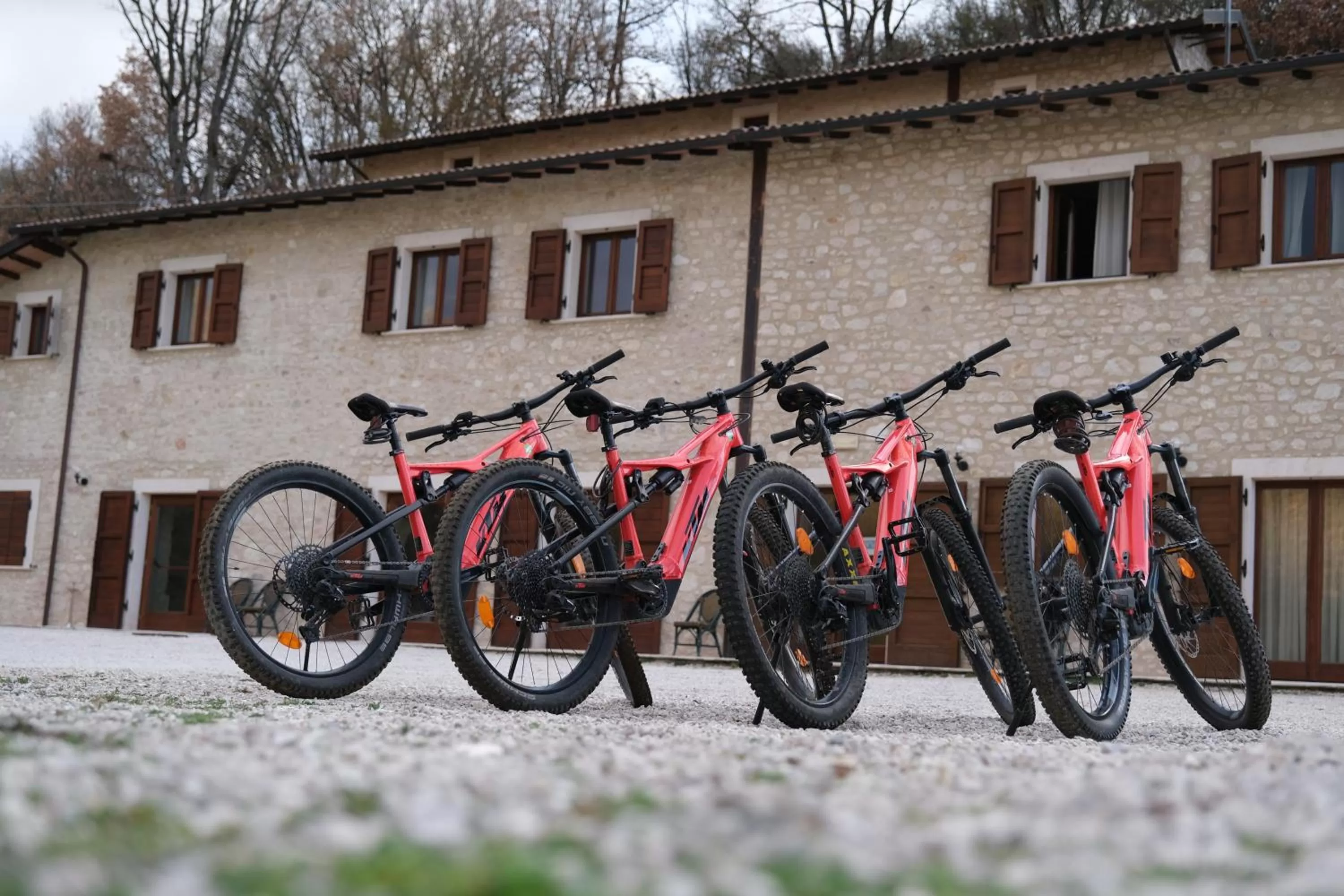 Day, Other Activities in Country House Elite