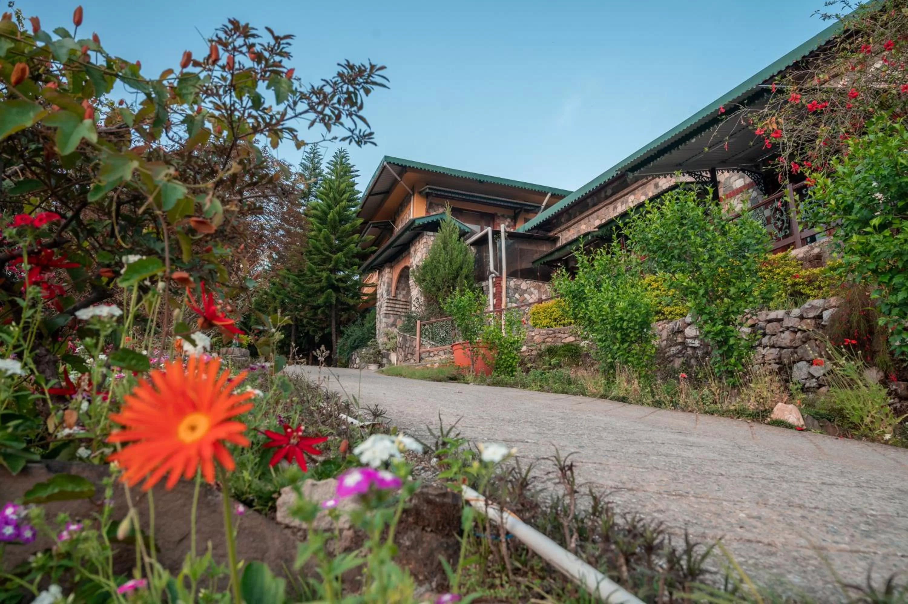 Tree of Life Resort Dehradun Foothills