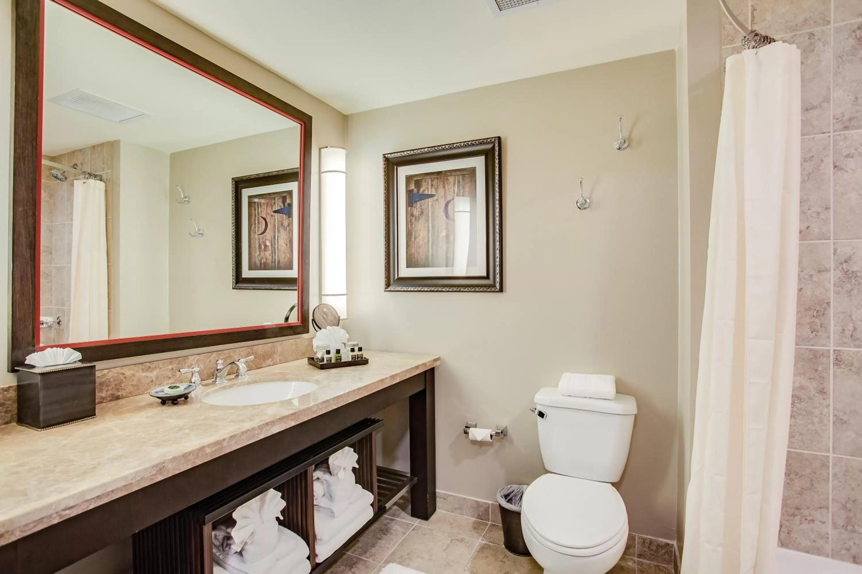 Bathroom in Overton Hotel and Conference Center