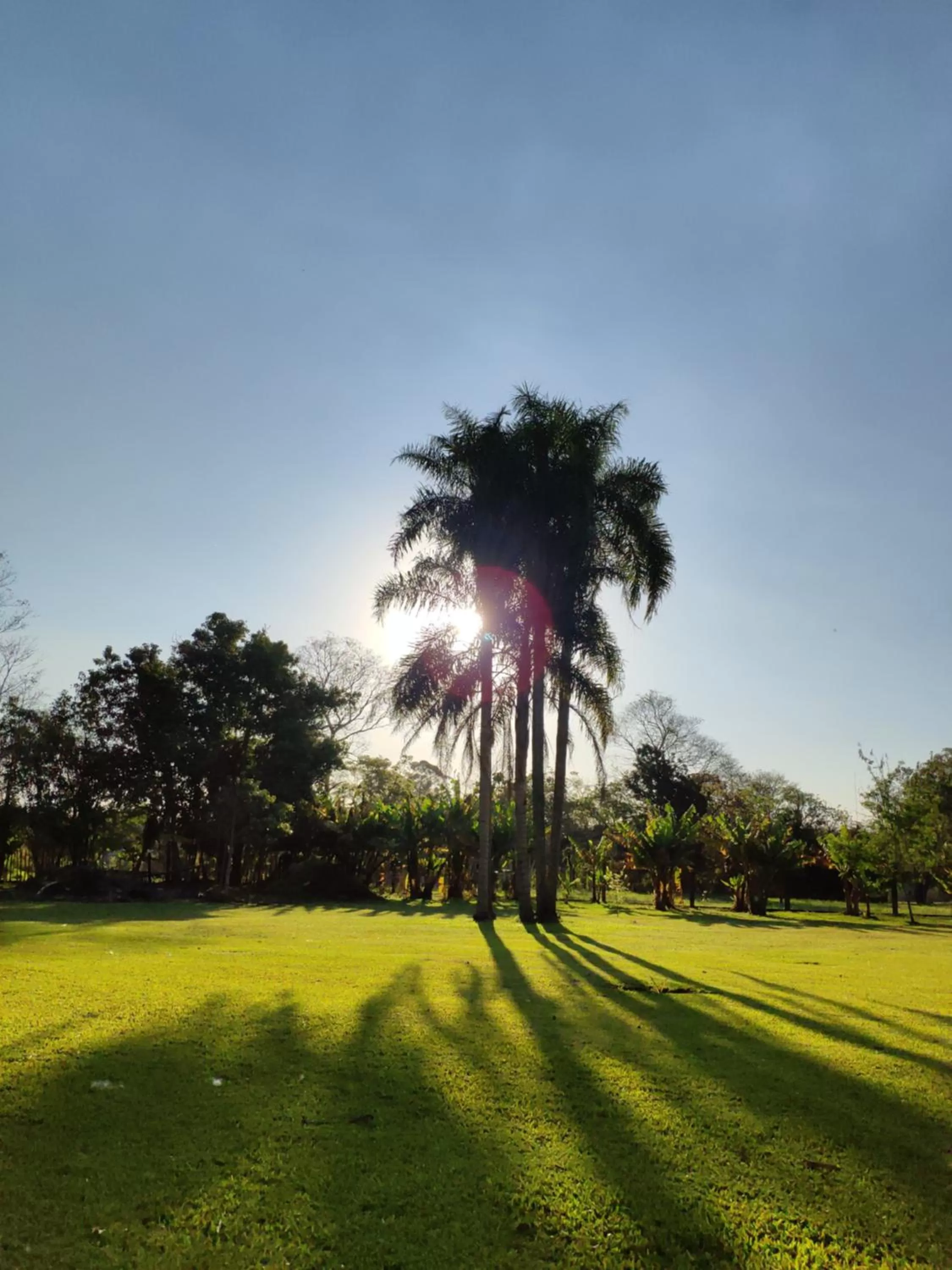 Patio in Posada 21 Oranges