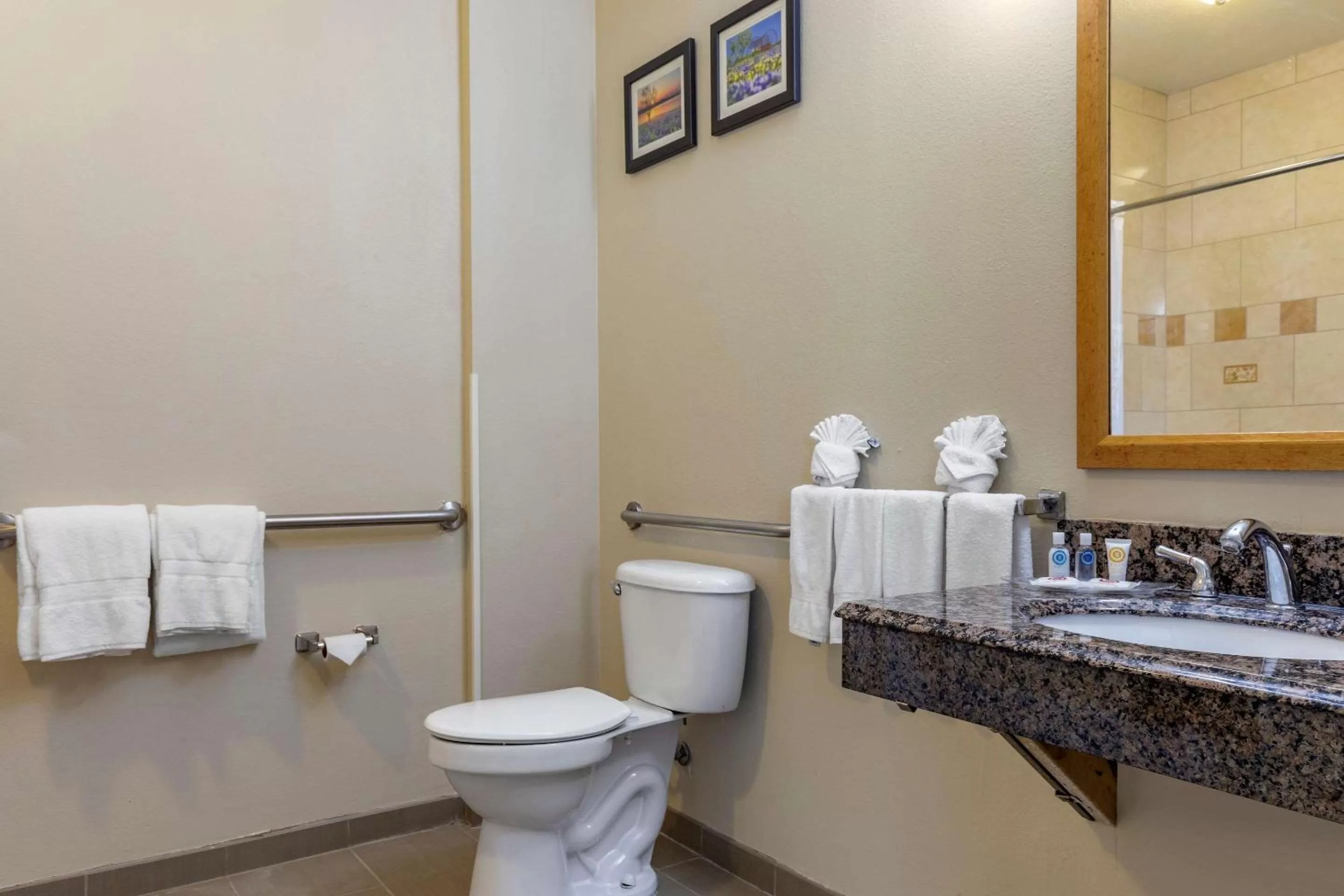 King Suite with Roll-in-Shower - Accessible/Non-Smoking in Comfort Suites Plano - Dallas North