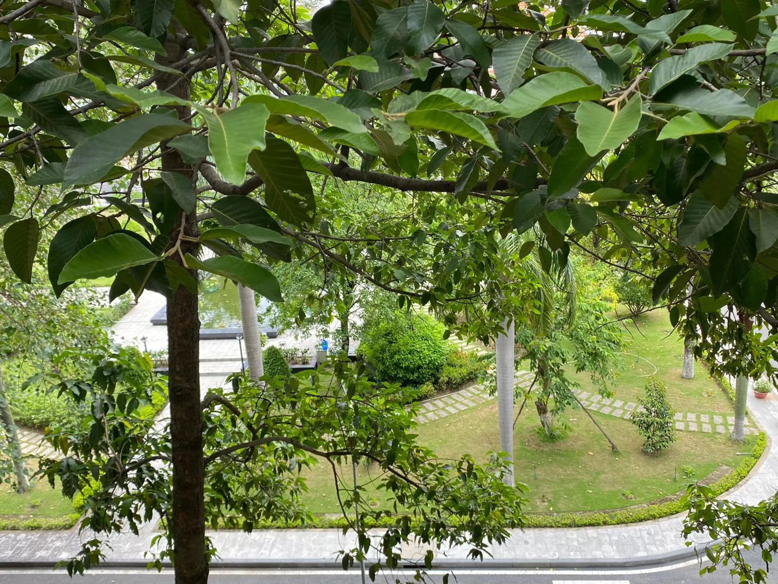 Garden view in Hotel Home