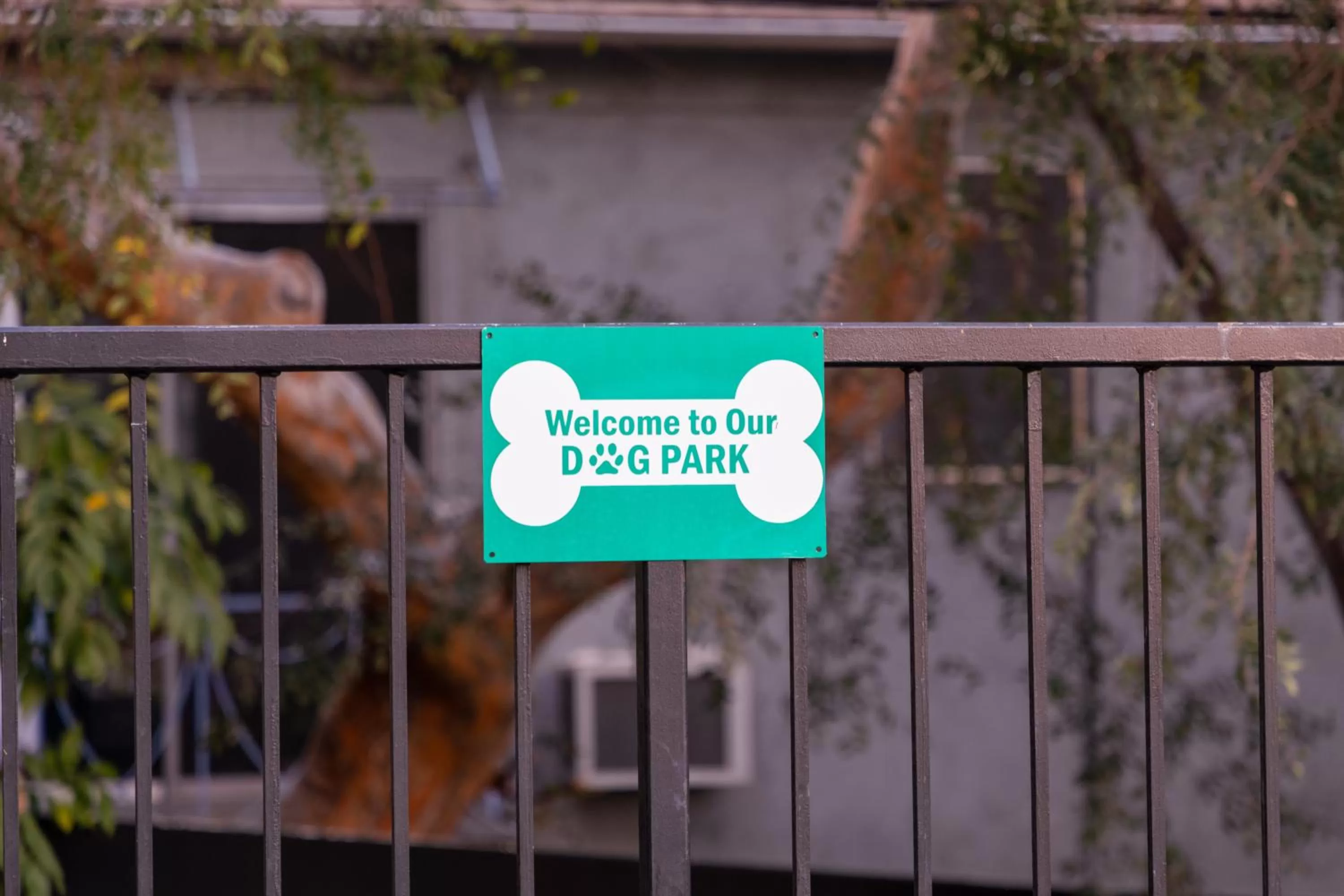 Pets in Hotel Ziggy On Sunset