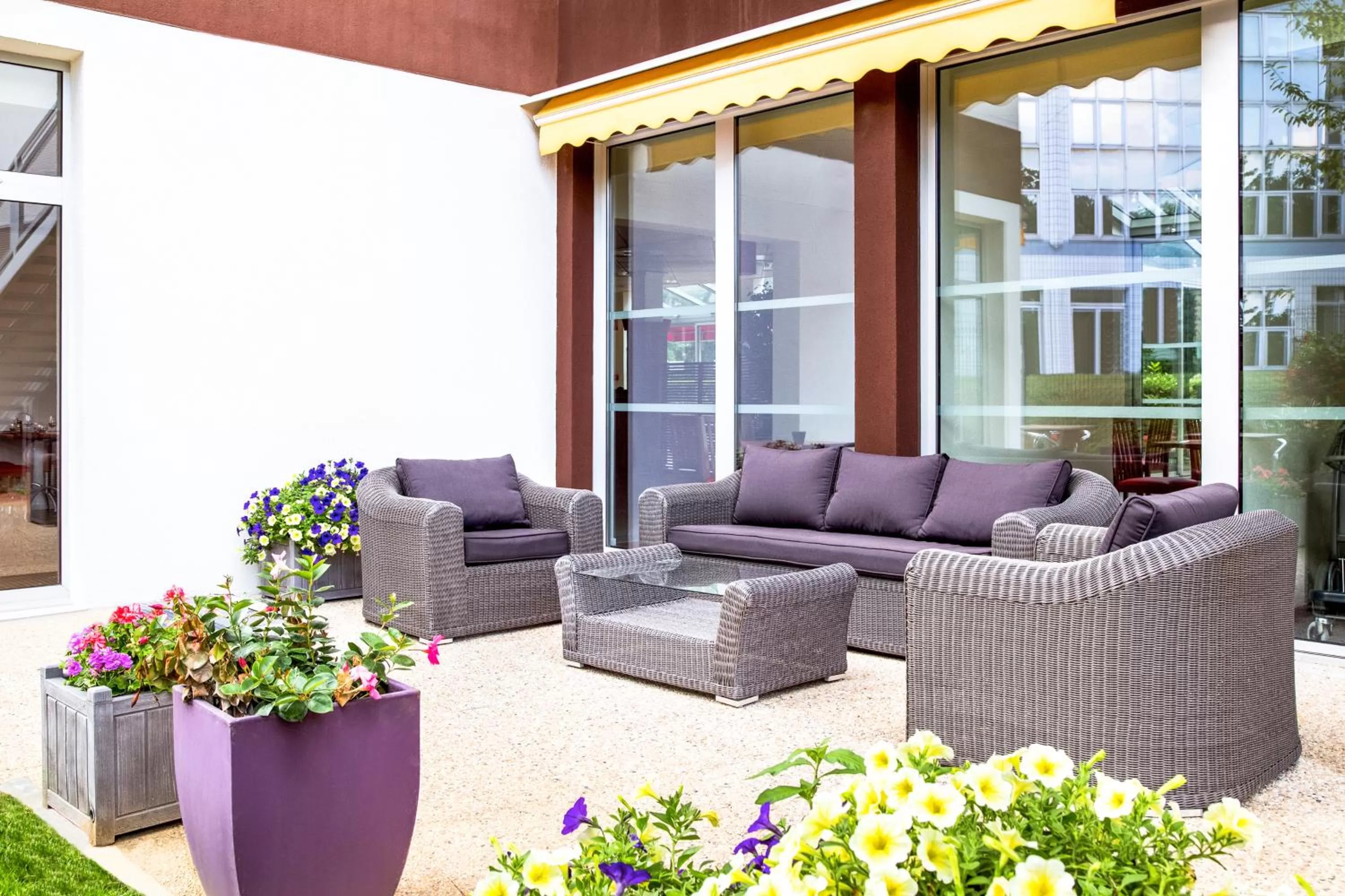 Garden in ibis Paris Meudon Velizy