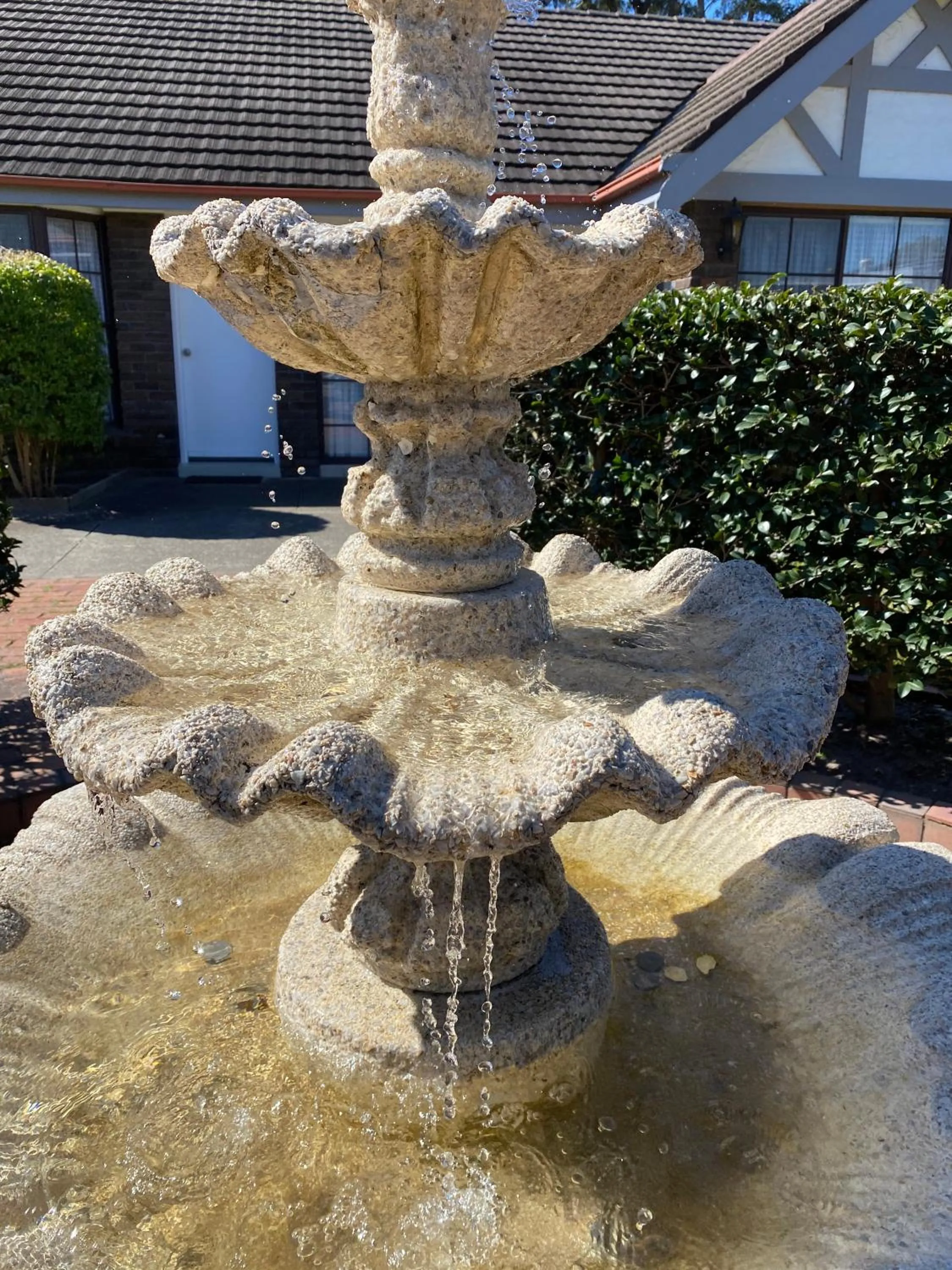 Garden in Sir Francis Drake