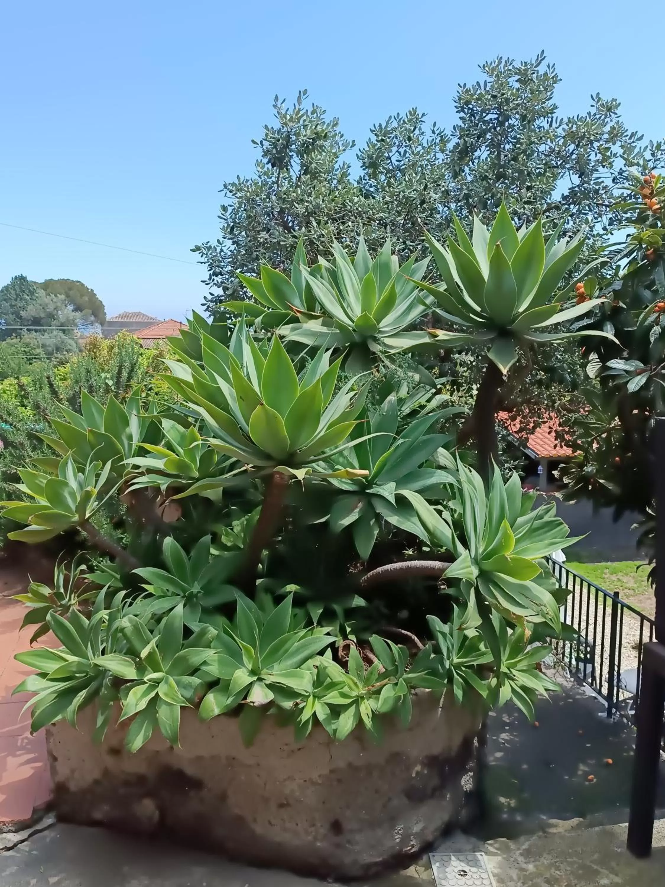 Balcony/Terrace in B&B Villa Lidia