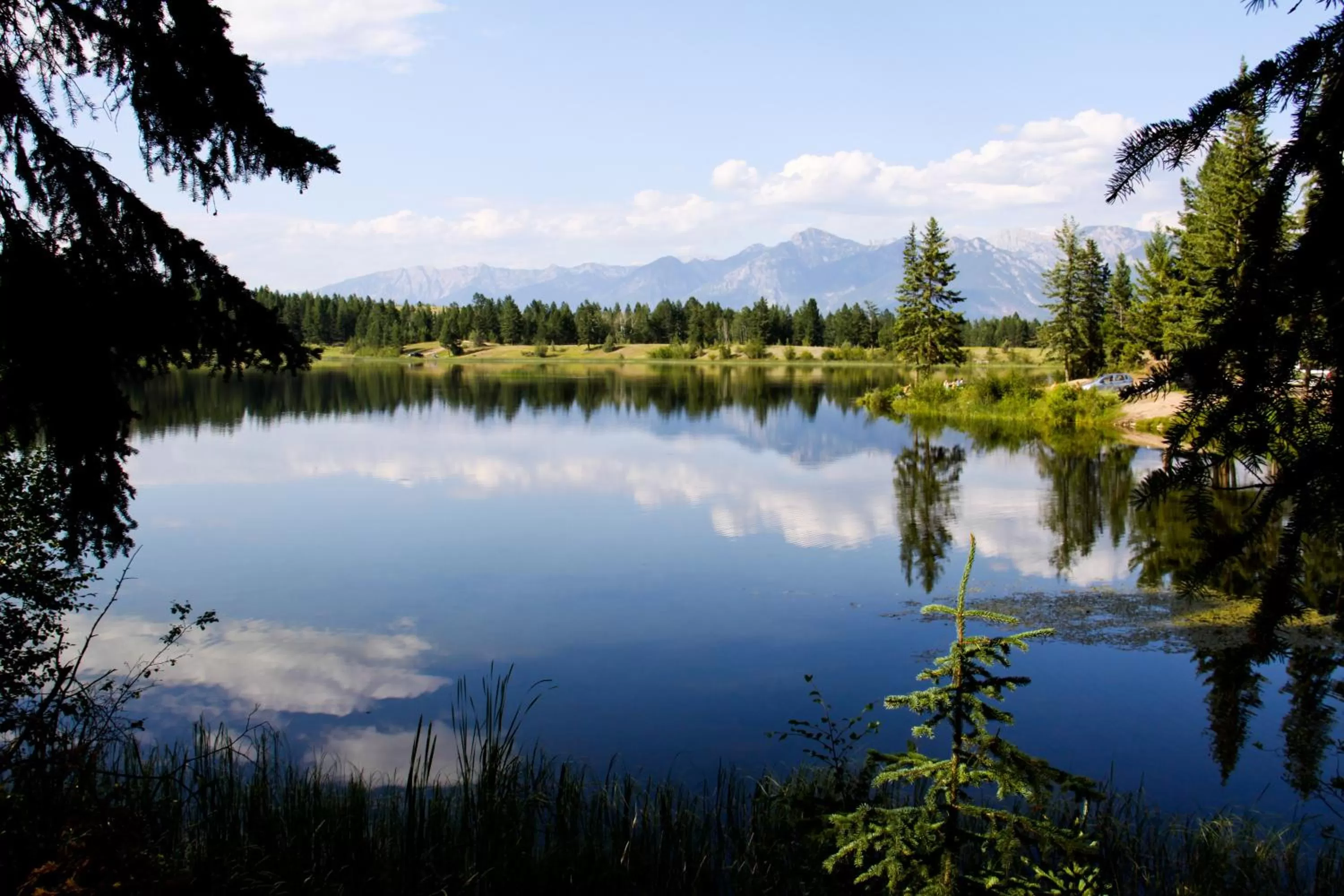 View (from property/room) in Crystal Springs Lodge