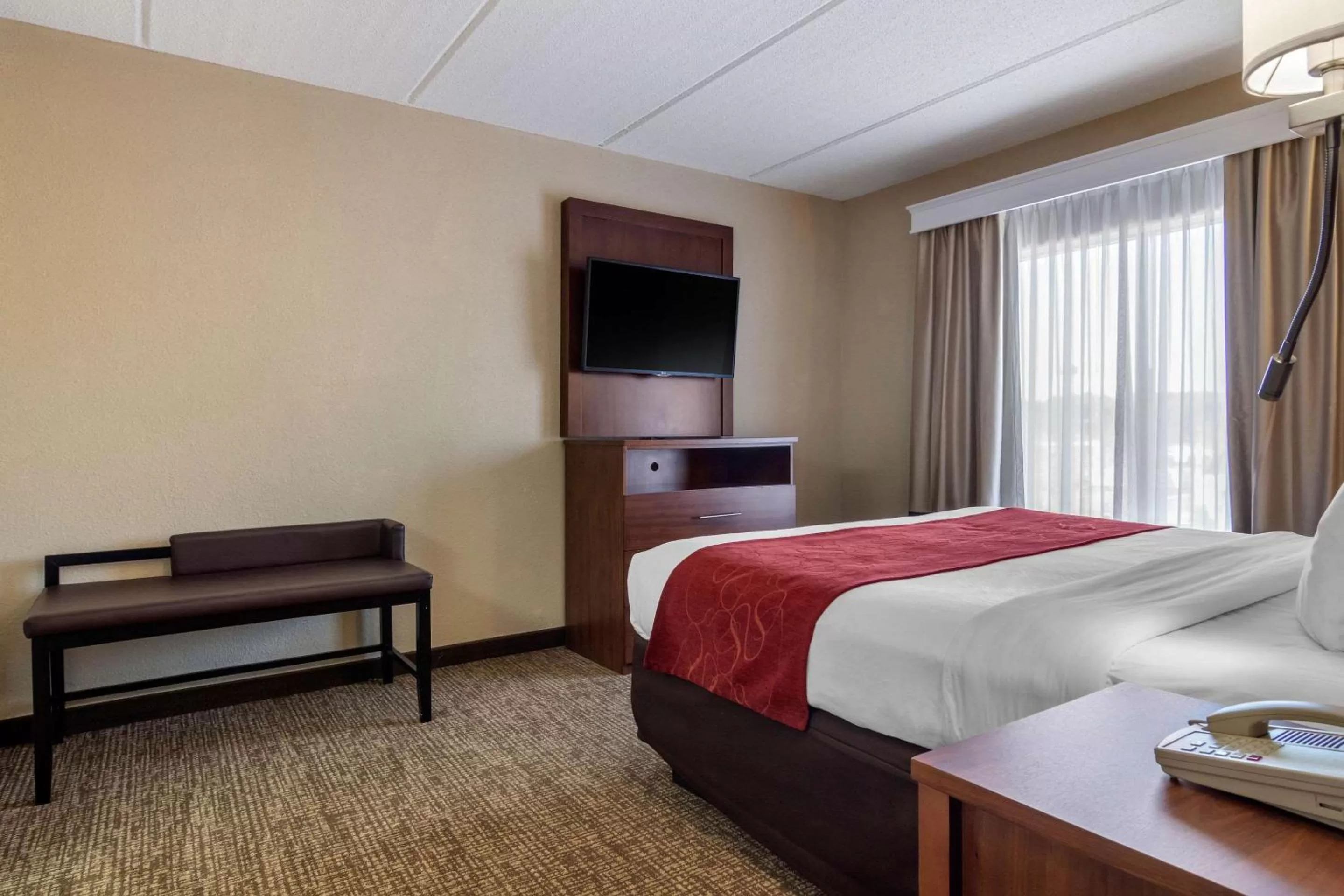 Photo of the whole room, Bed in Comfort Suites Woodstock - Atlanta North