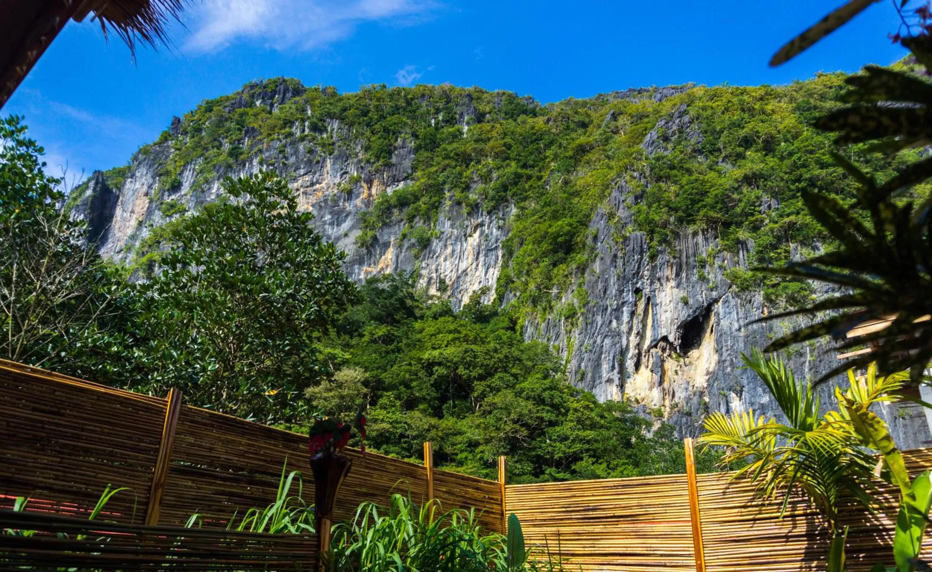 Mountain View in Focus Rooms