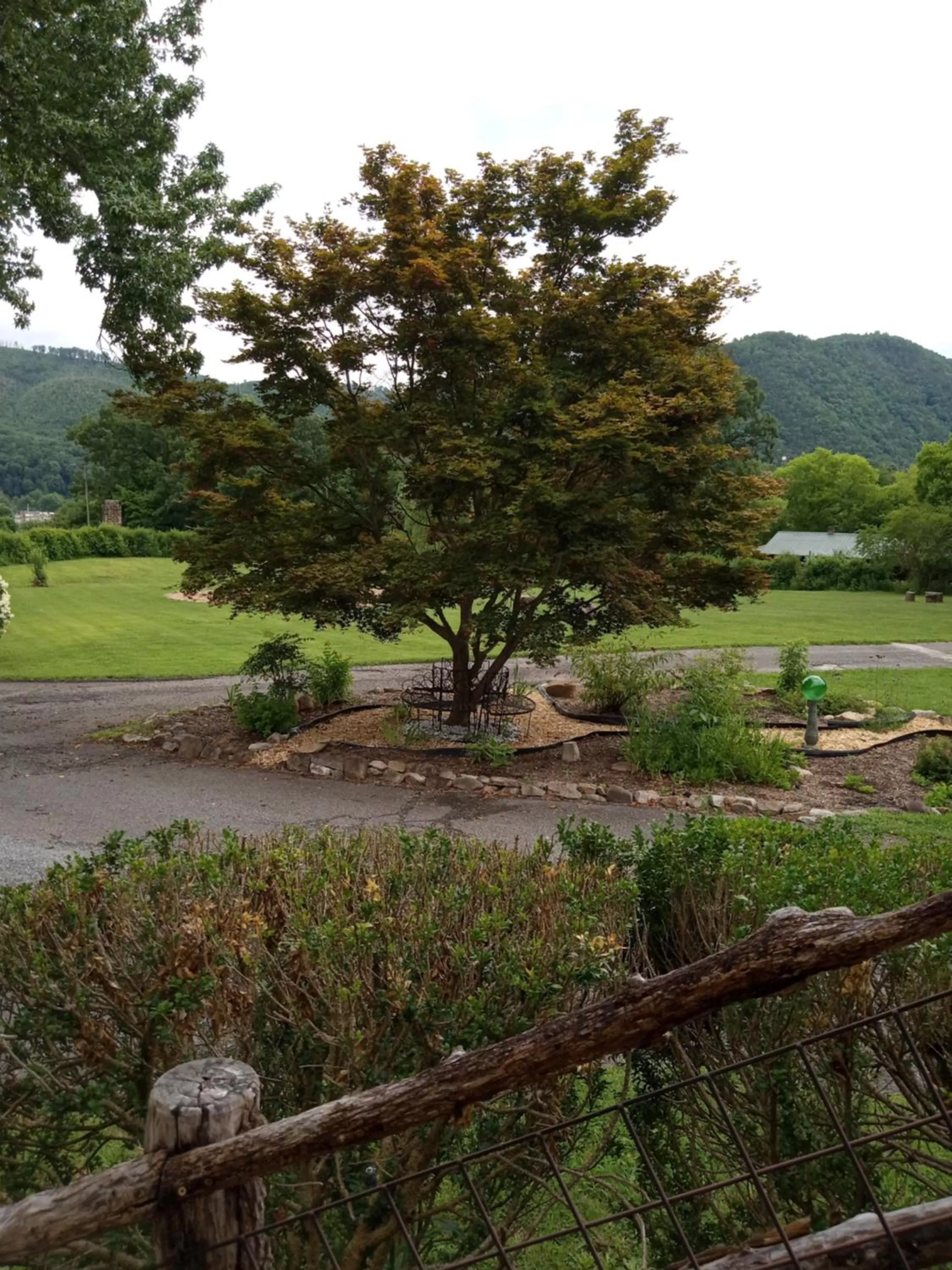 Laughing Heart Lodge