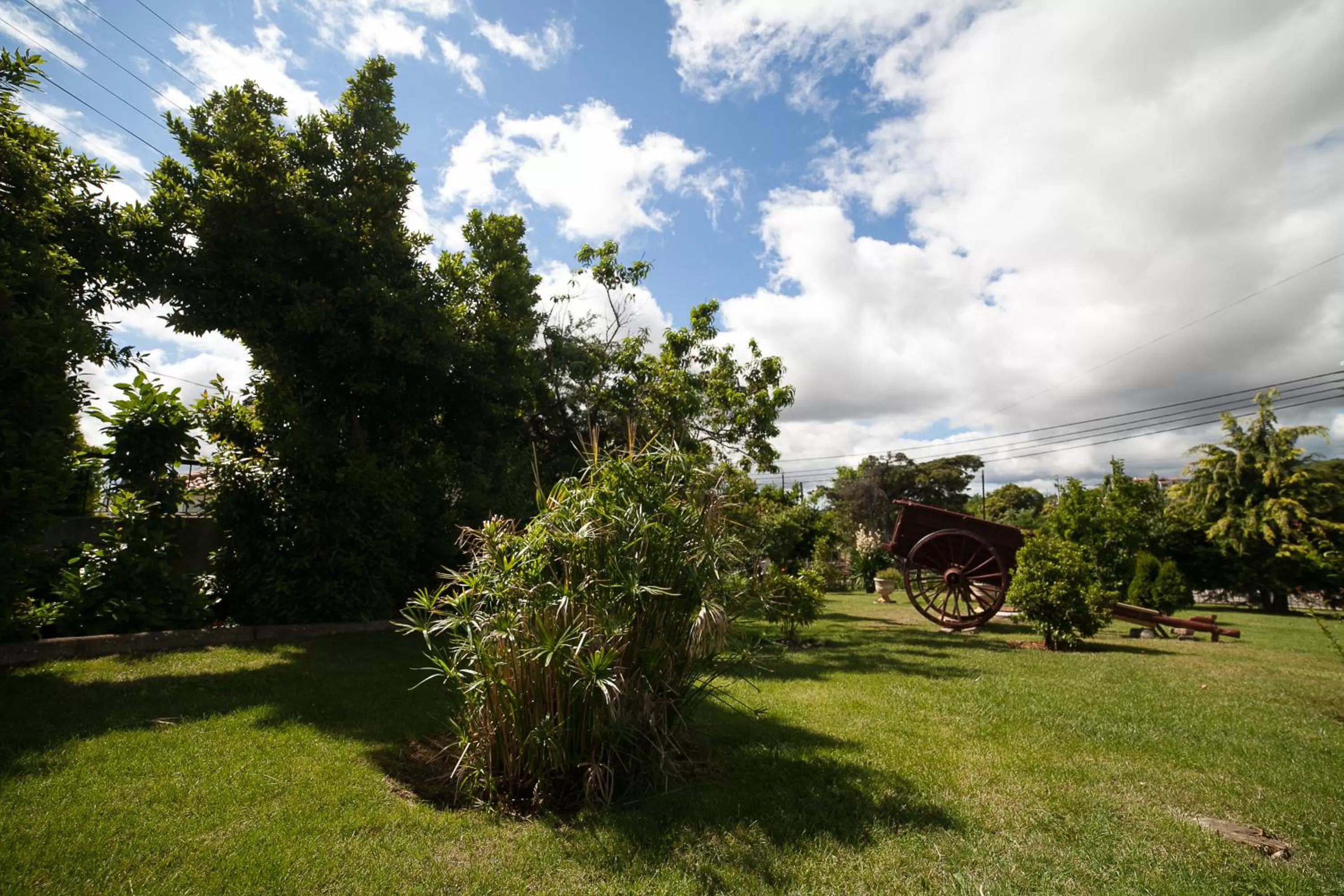 Garden in Hotel Estalagem Turismo