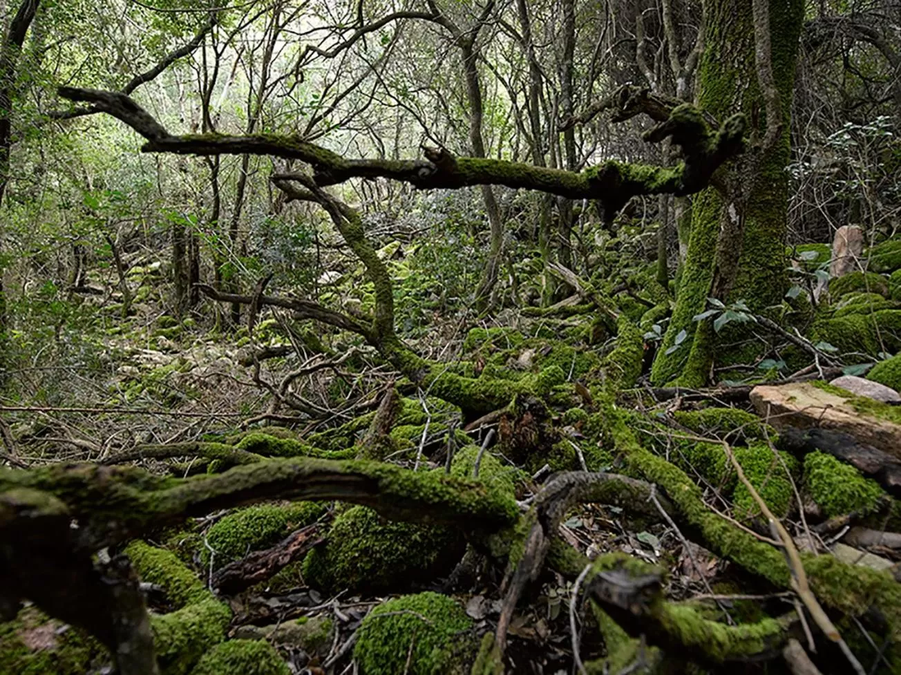 Nearby landmark in Hotel Jasmine