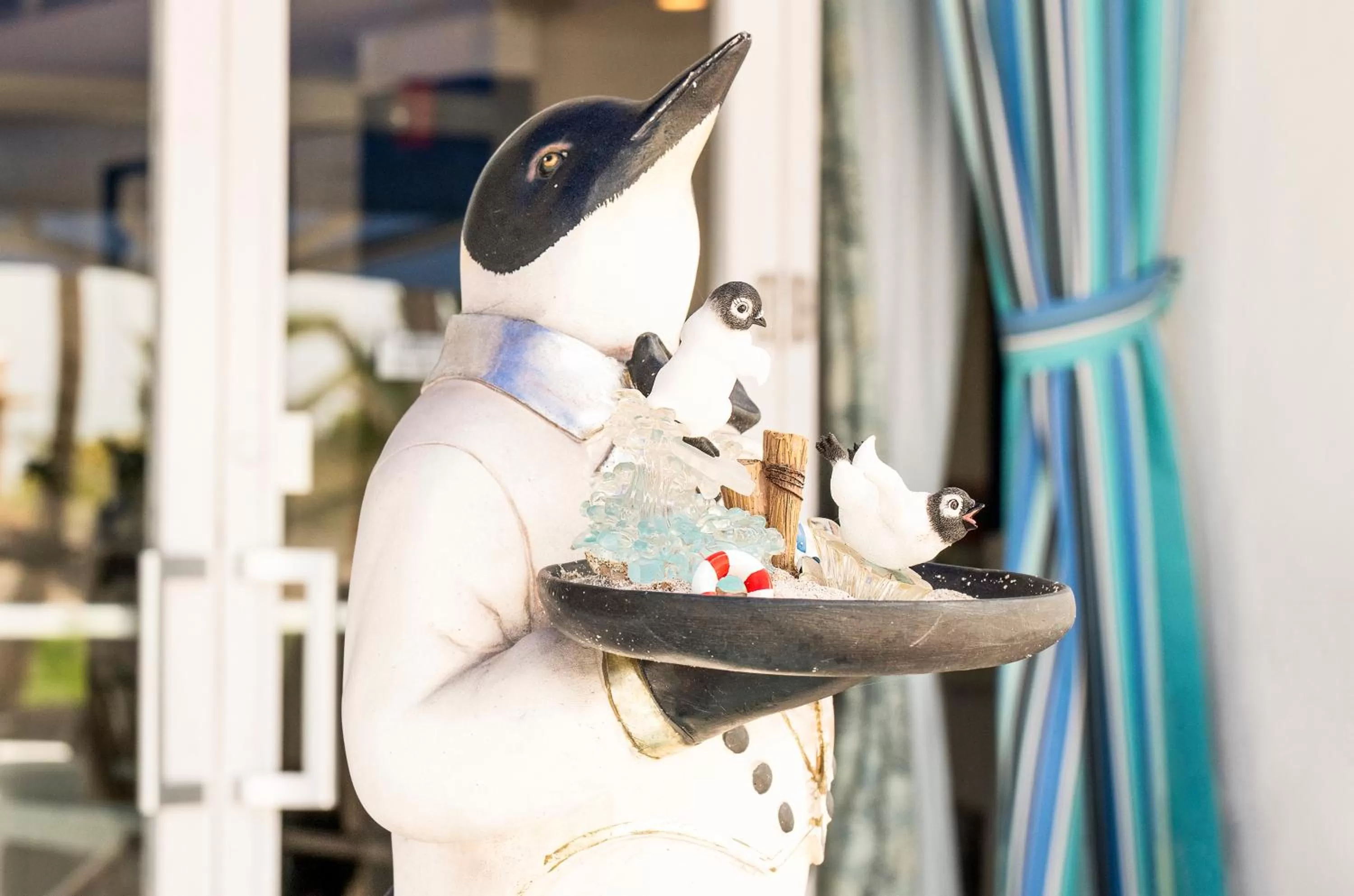 Patio in Penguin Hotel