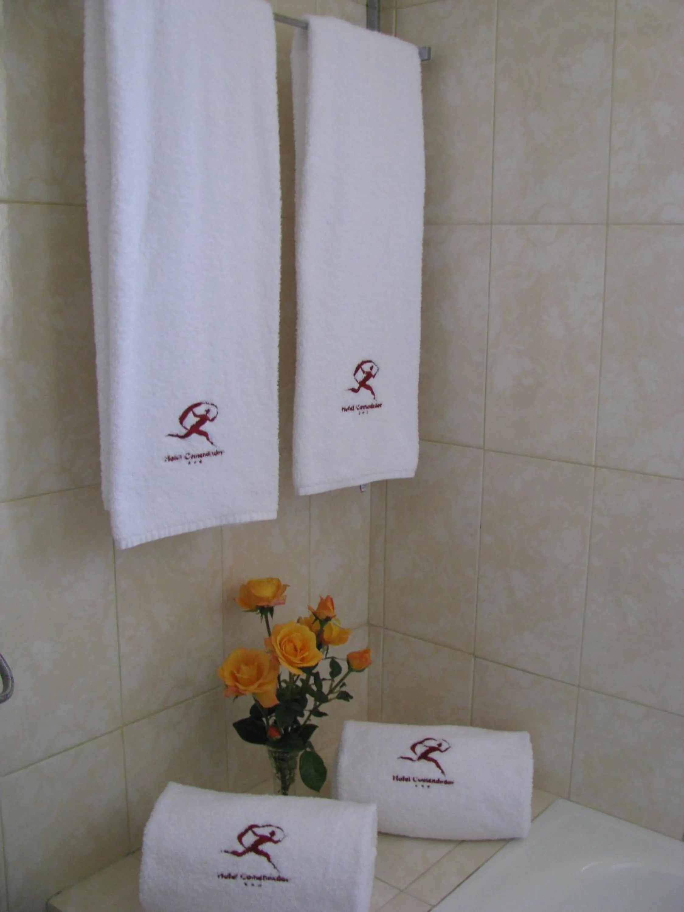 Bathroom in Hotel Comendador