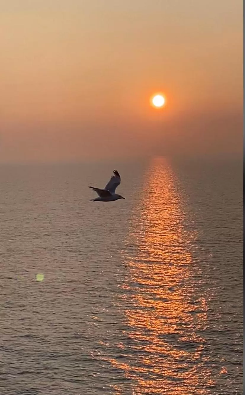 Nearby landmark in Toppesfield House B&B