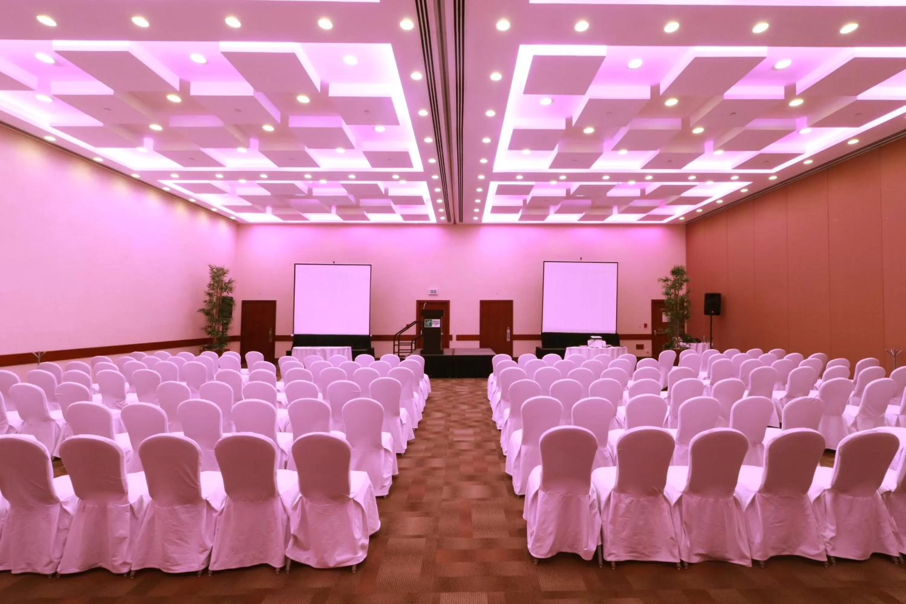Meeting/conference room in Holiday Inn & Suites Plaza Mayor by IHG