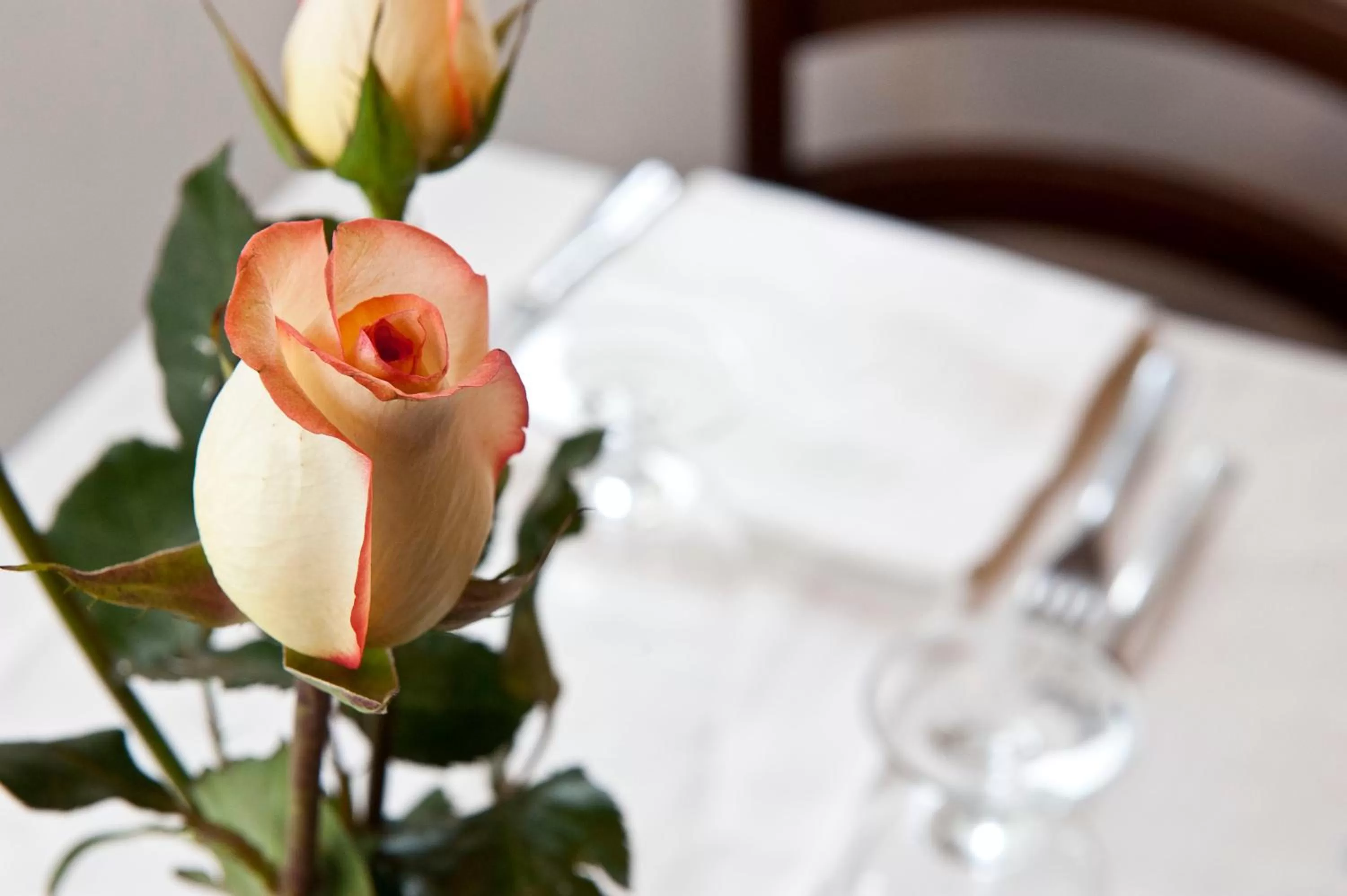 Restaurant/places to eat in Hotel 4 Pini