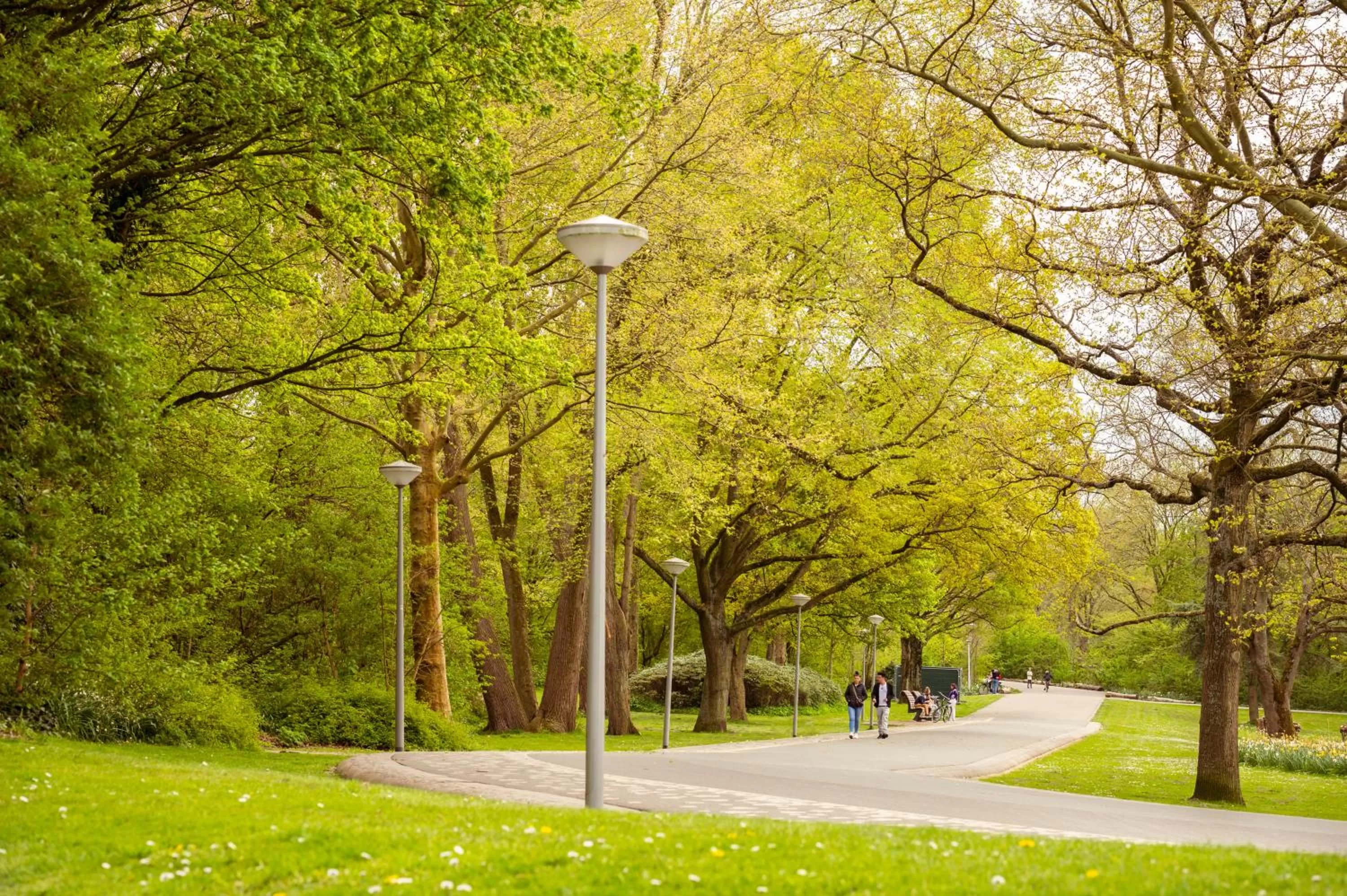 Activities in Tribe Amsterdam City