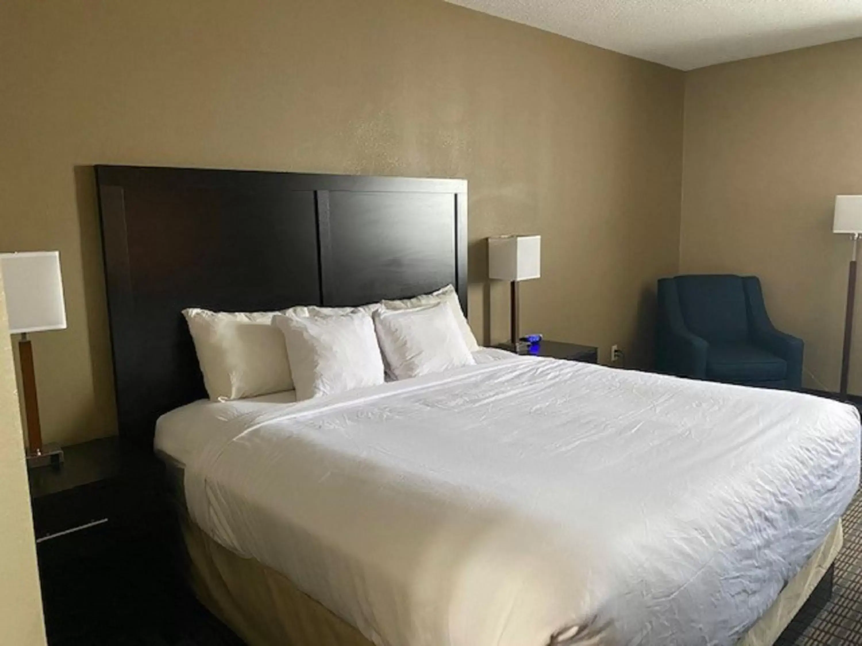 King Room with Roll-In Shower - Mobility Access in SureStay Plus by Best Western Jonestown Lebanon Valley King Room with Roll-In Shower - Mobility Access in SureStay Plus by Best Western Jonestown Lebanon Valley