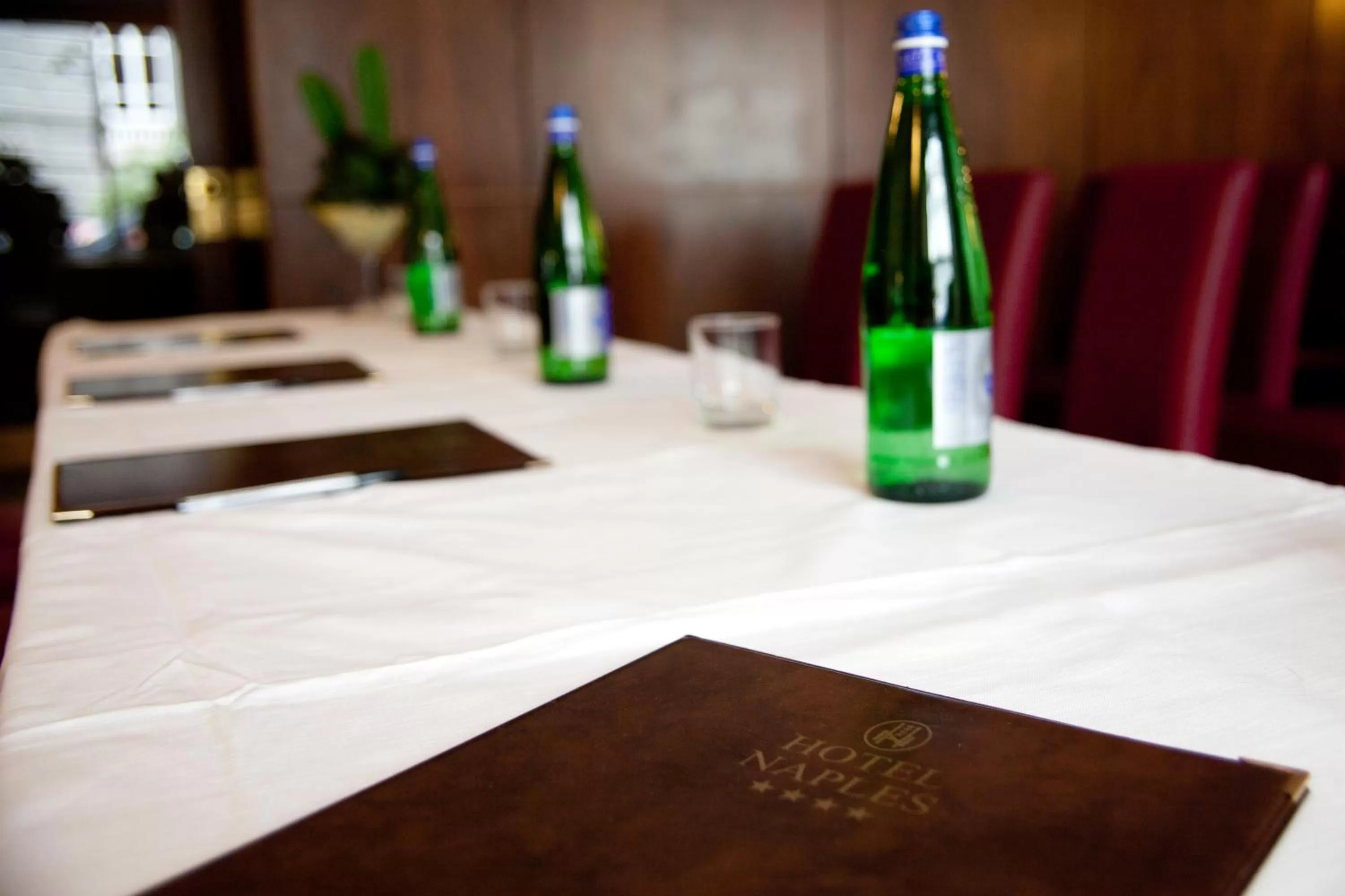 Business facilities in Hotel Naples