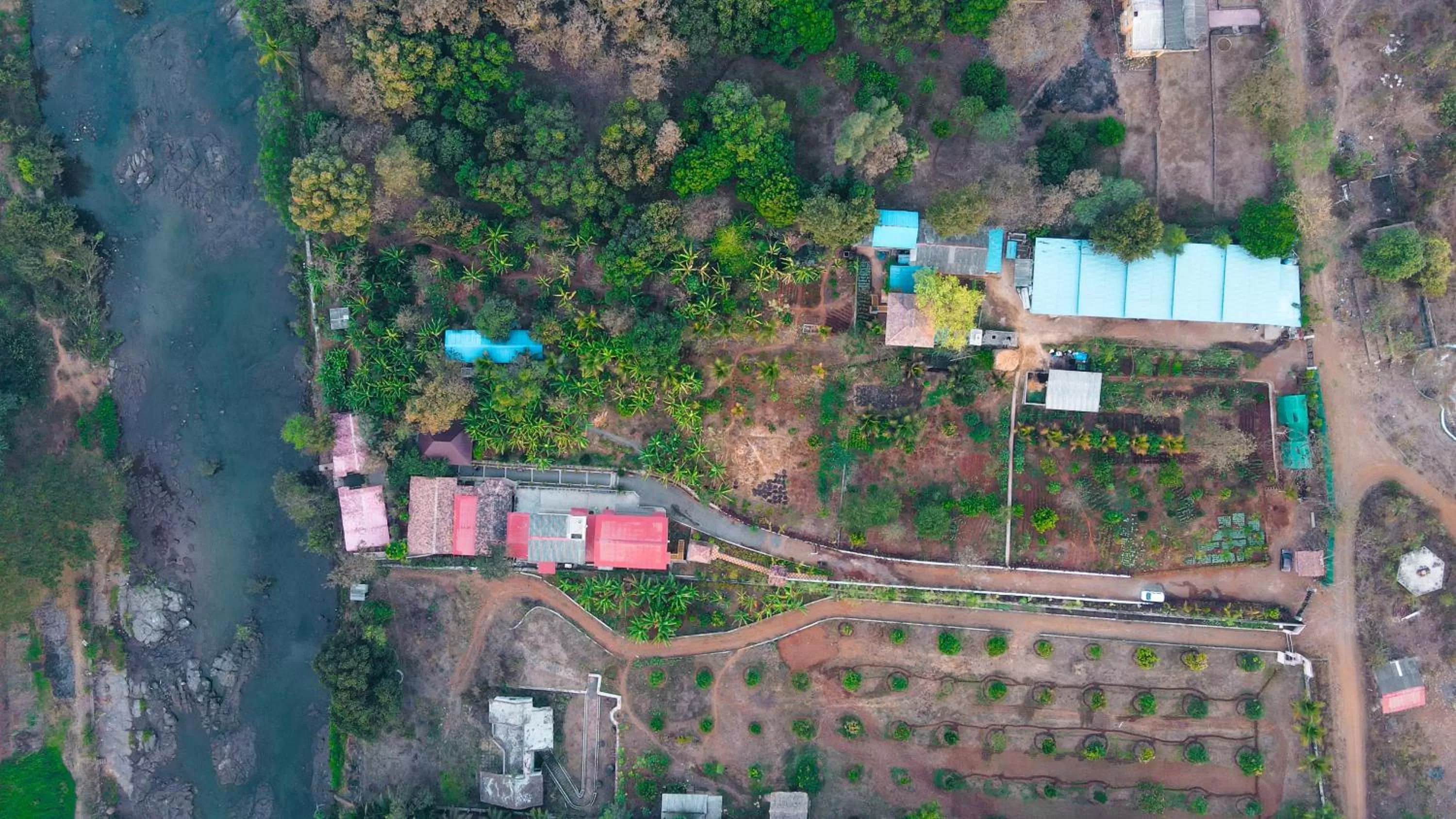 View (from property/room) in Saveda Farm & Cottages