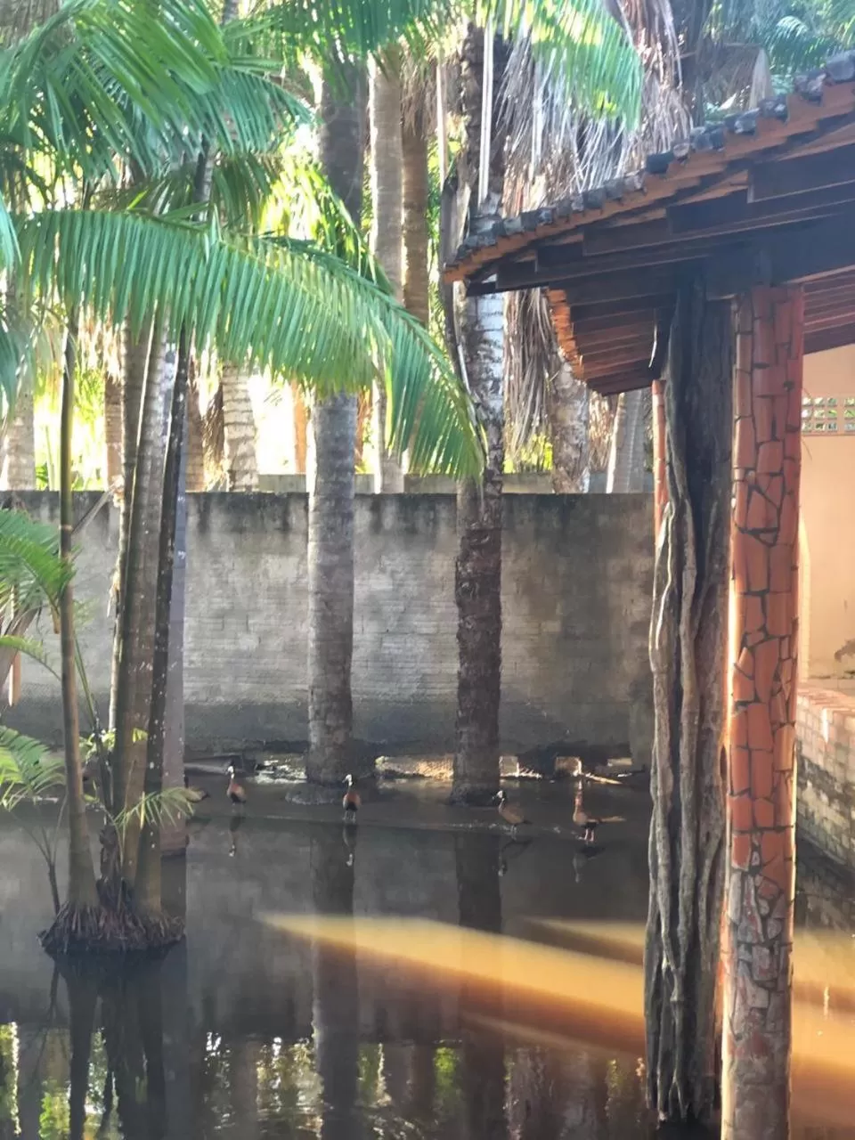 Restaurant/places to eat in Pousada do Riacho