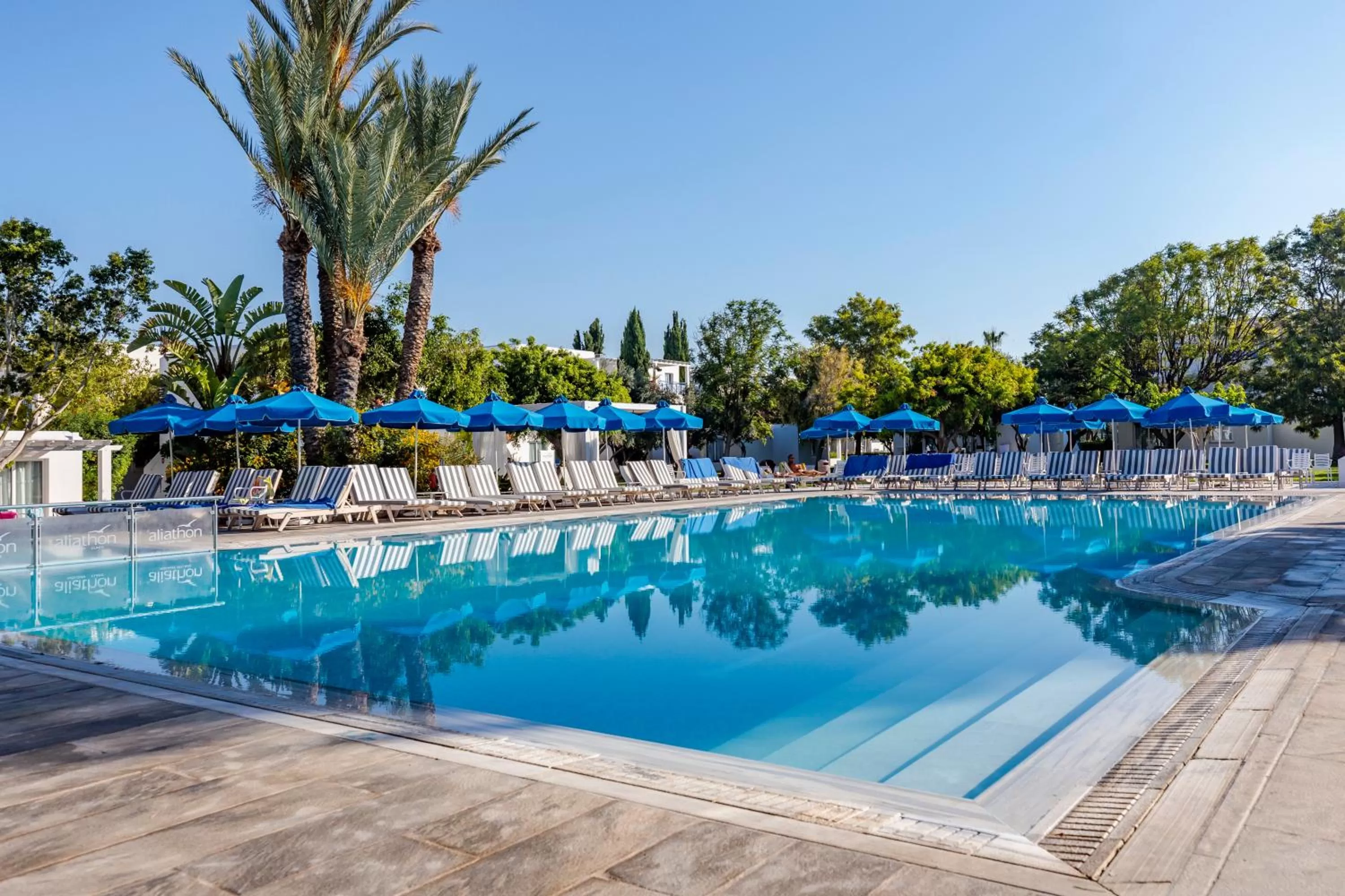 Swimming pool in Aliathon Aegean