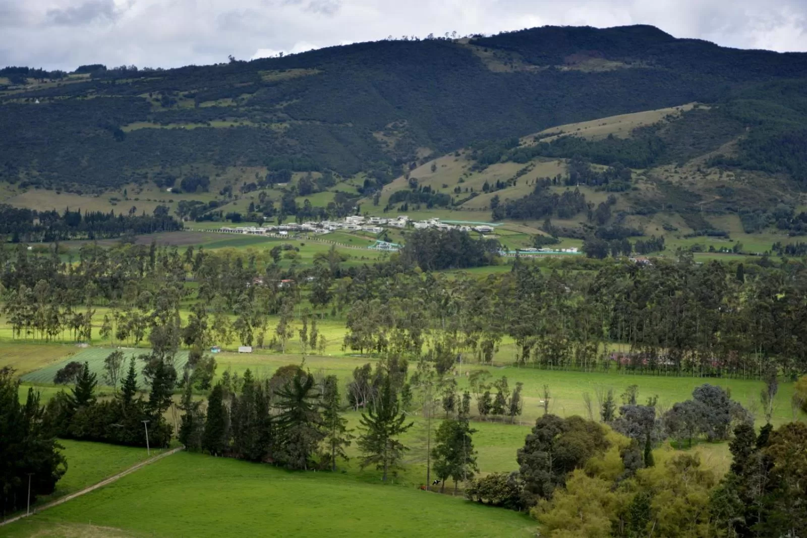 Natural landscape in El Pedregal Sopó