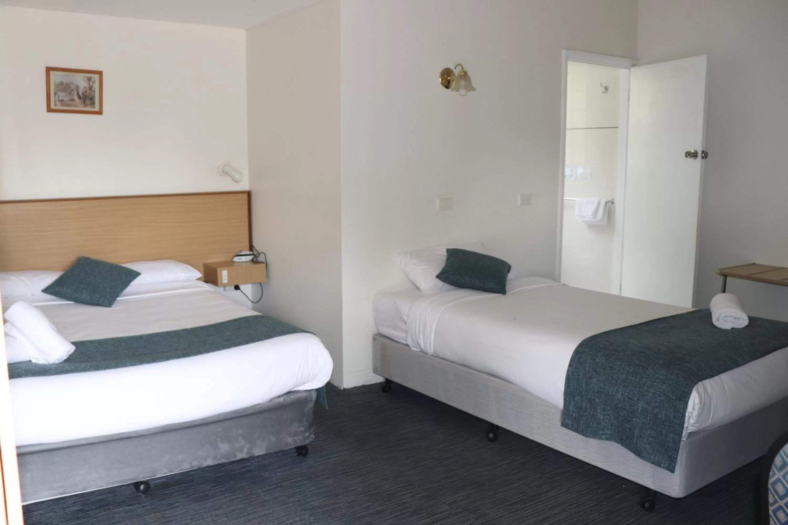 Standard Twin Room in Bridge Motel Wellington