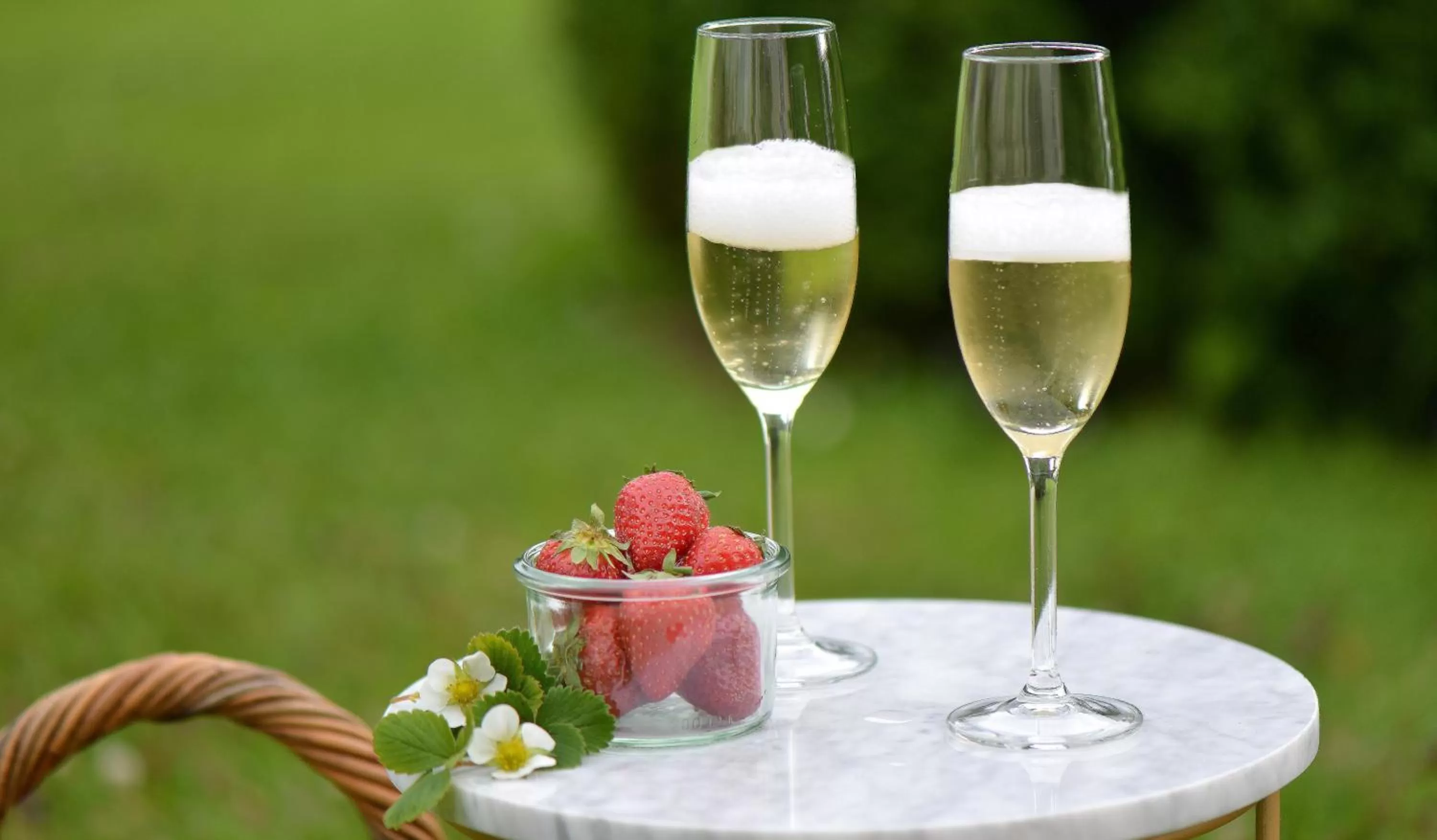 Lounge or bar in Château Saint Gilles - Bayeux