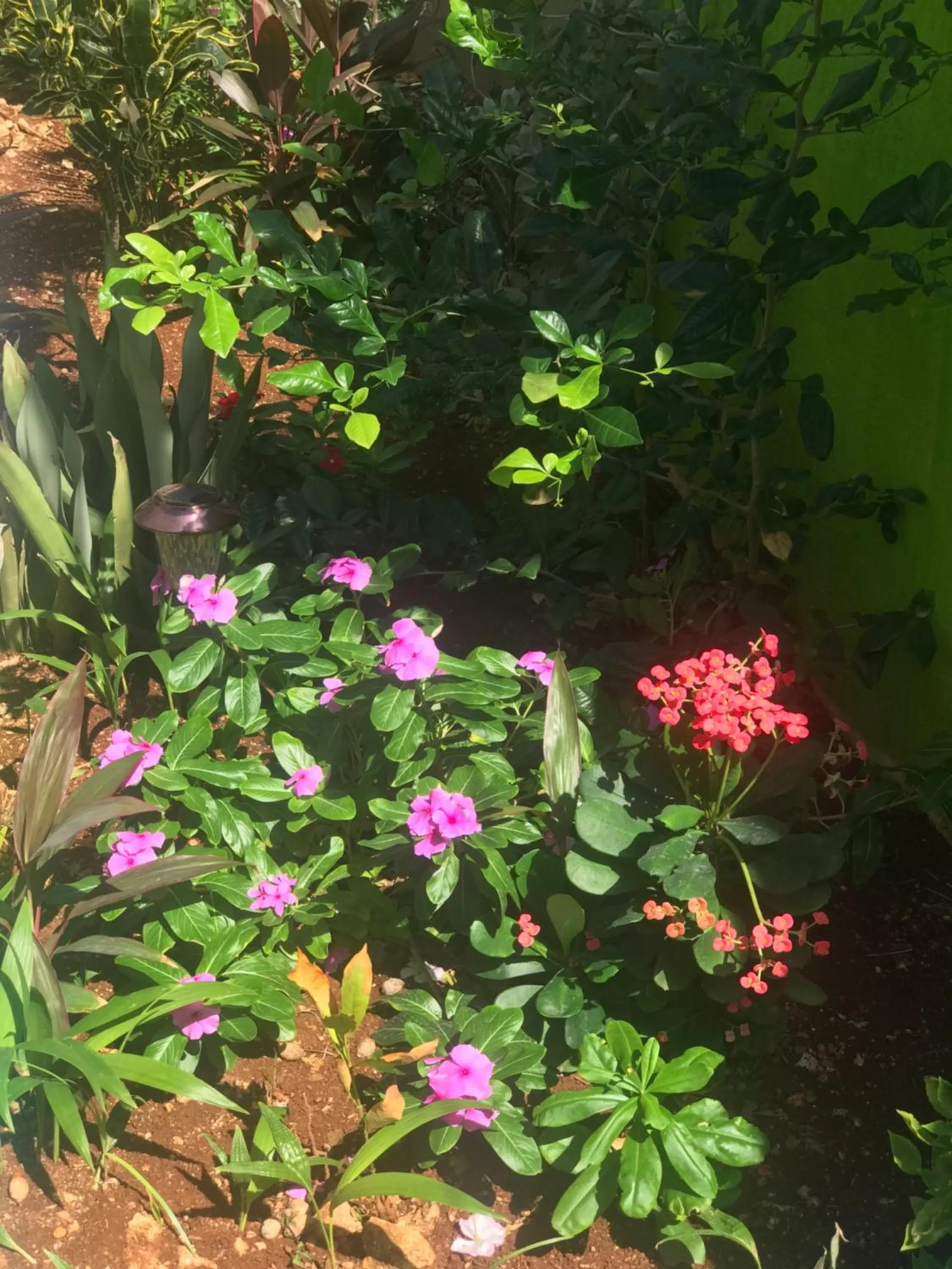 Jackuri Casa Hospedaje