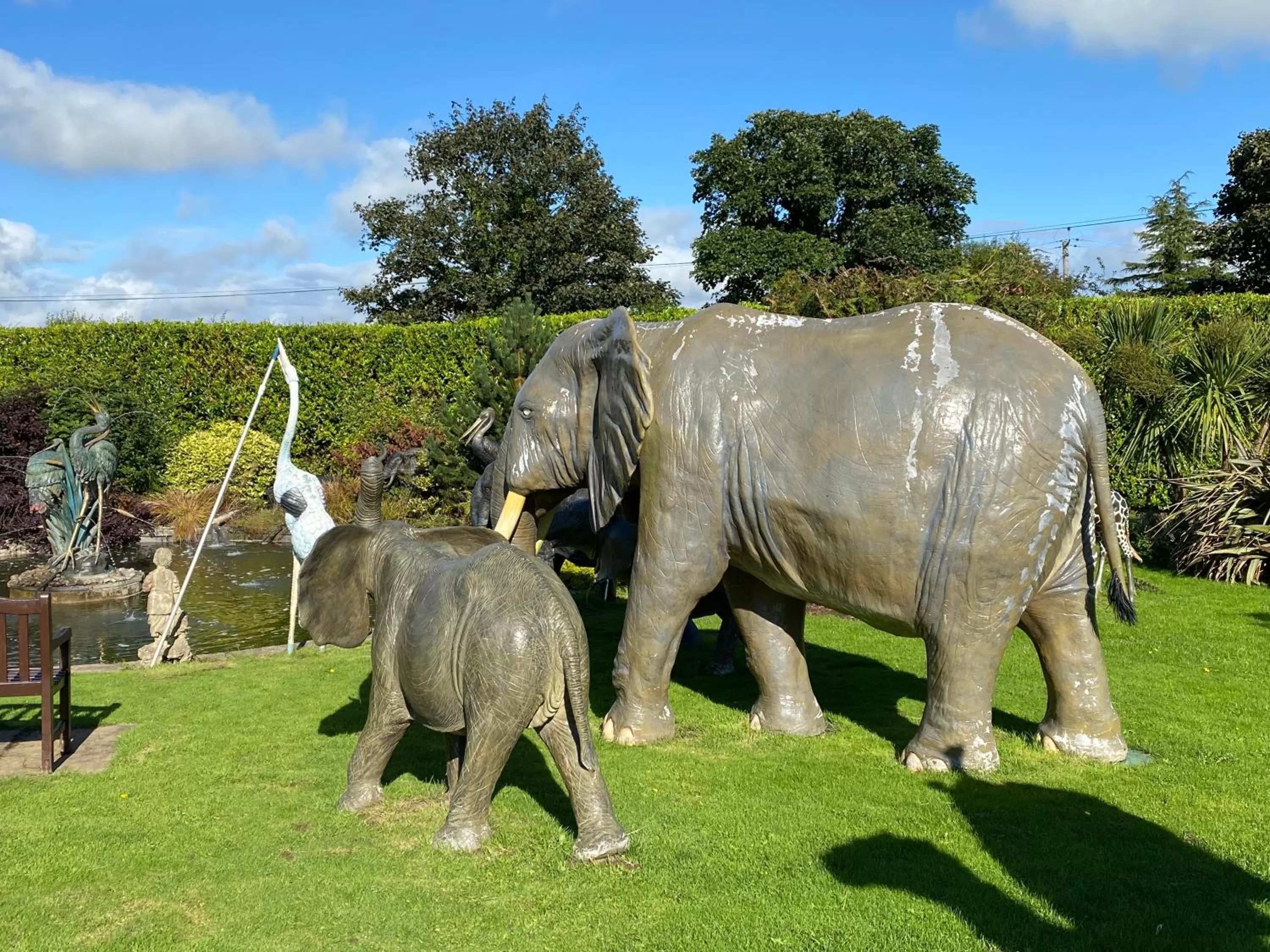 Garden in The Hilltop Haven
