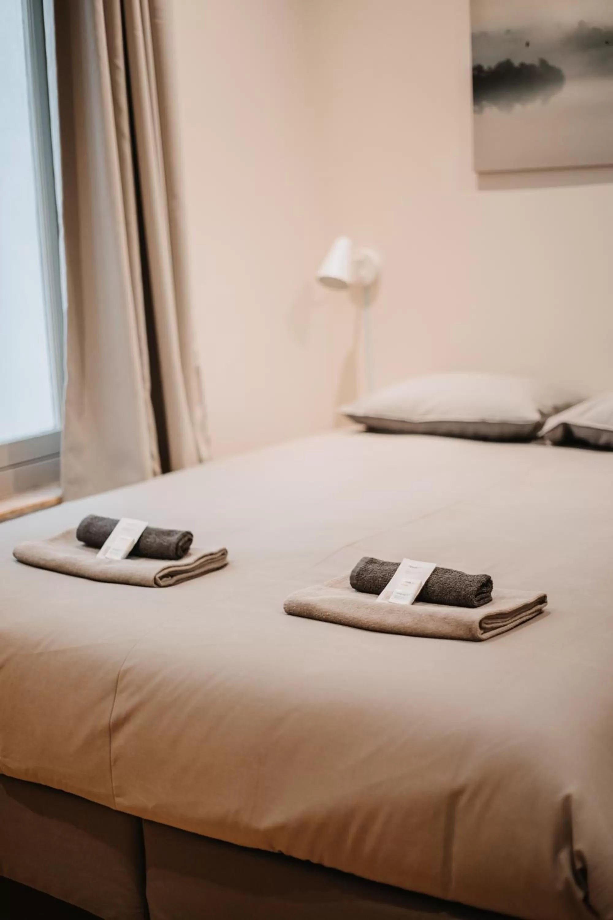 Bed in Central and Cozy in Brussels