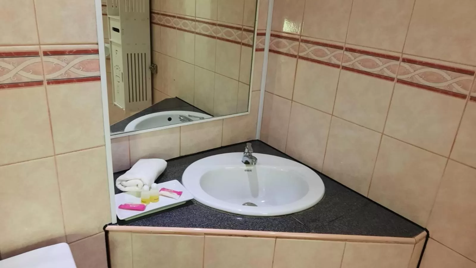 Bathroom in Swiss Food Restaurant and room for rent