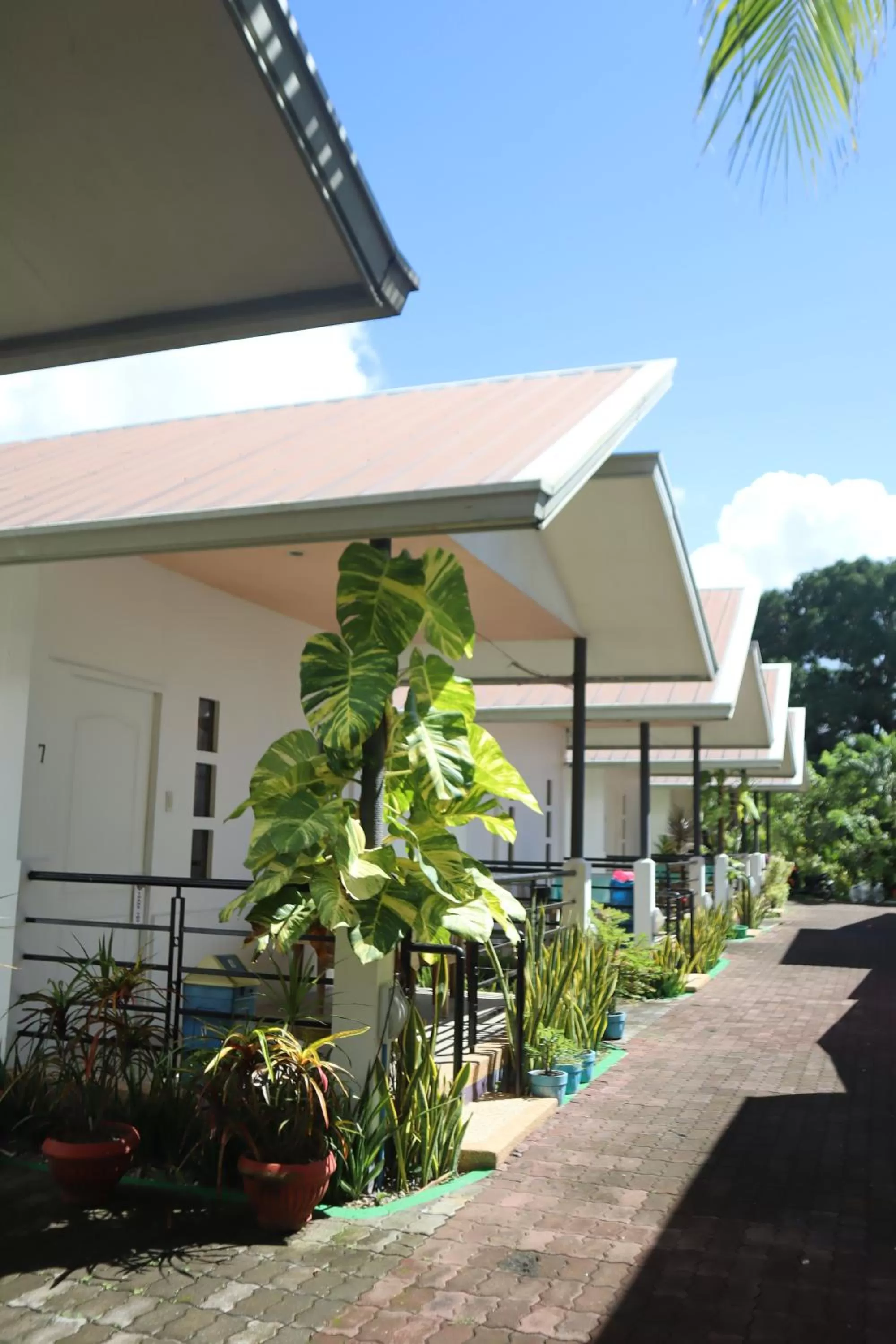 Ice Bear Bar & Tourist Inn