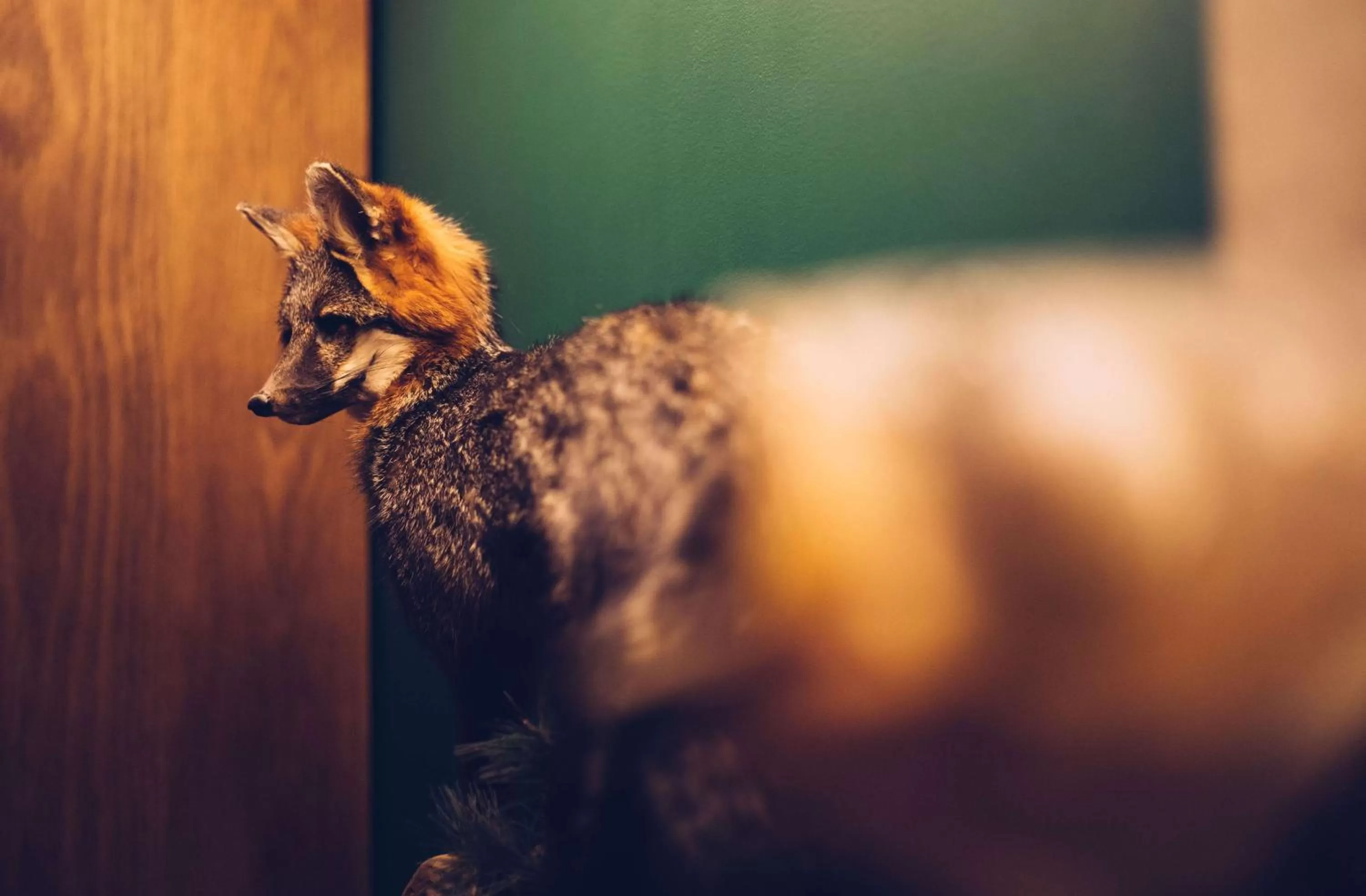 Dining area in Motto by Hilton Washington DC City Center
