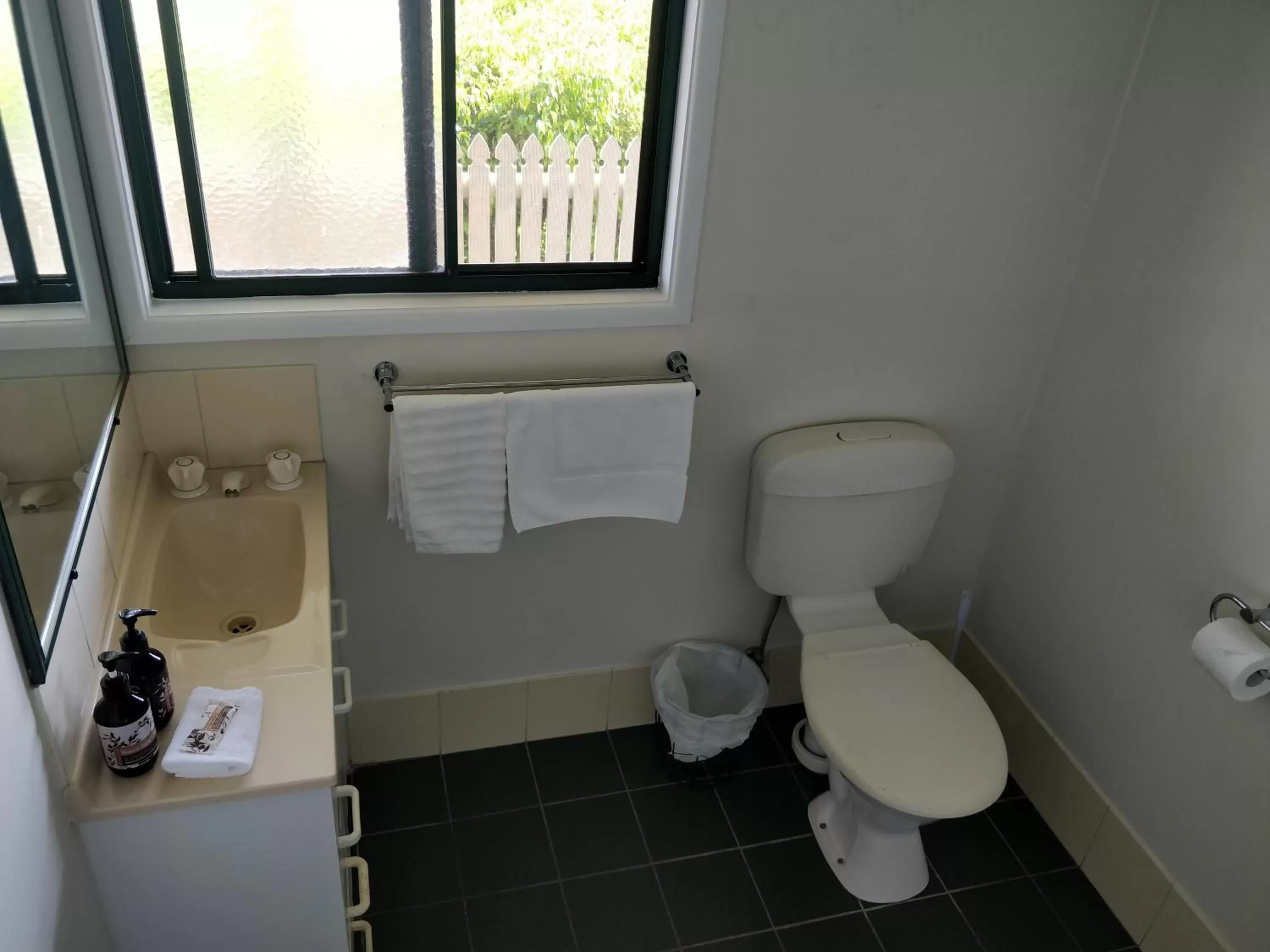 Toilet in Tranquil Park