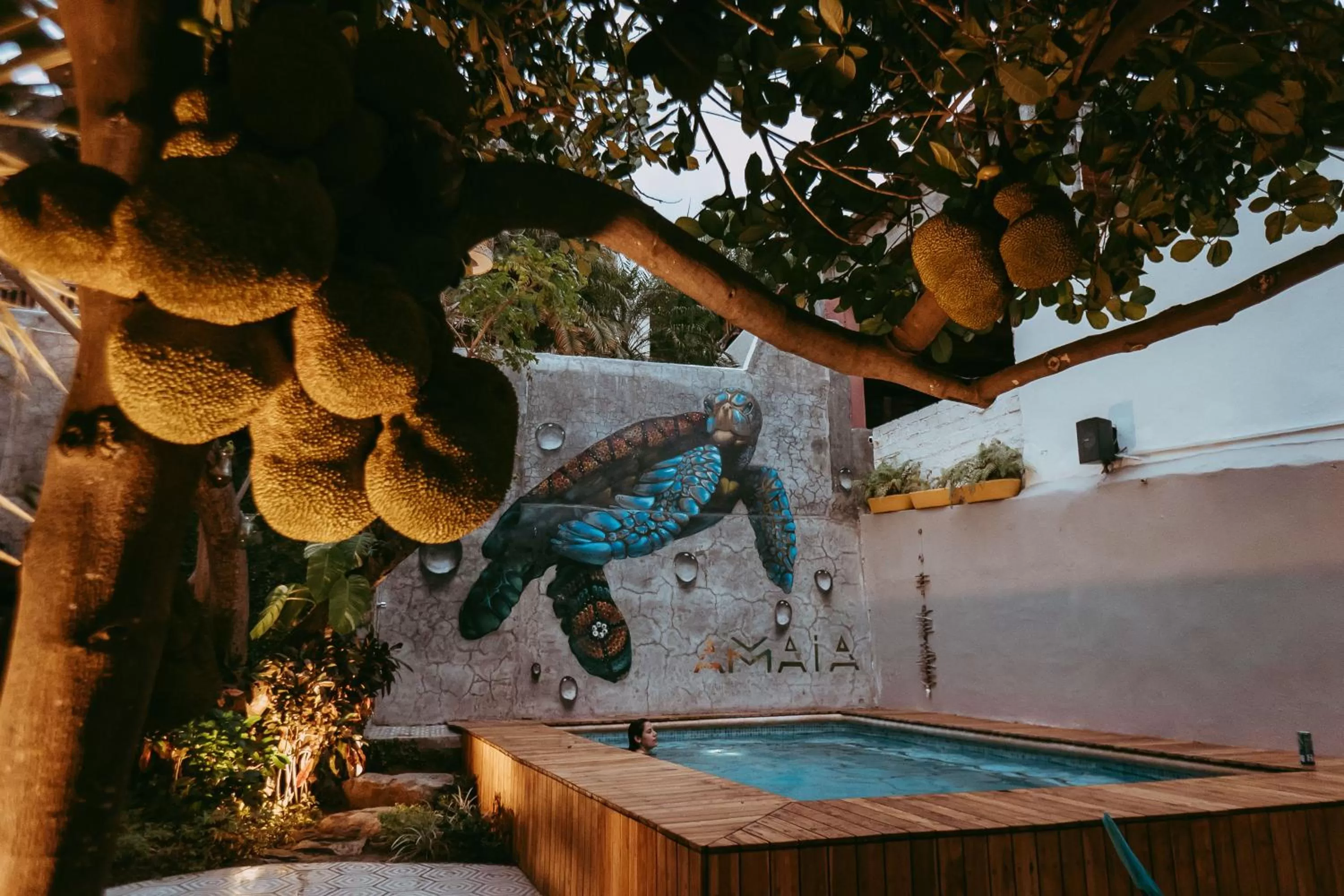 Swimming pool in Amaia Boutique Hotel