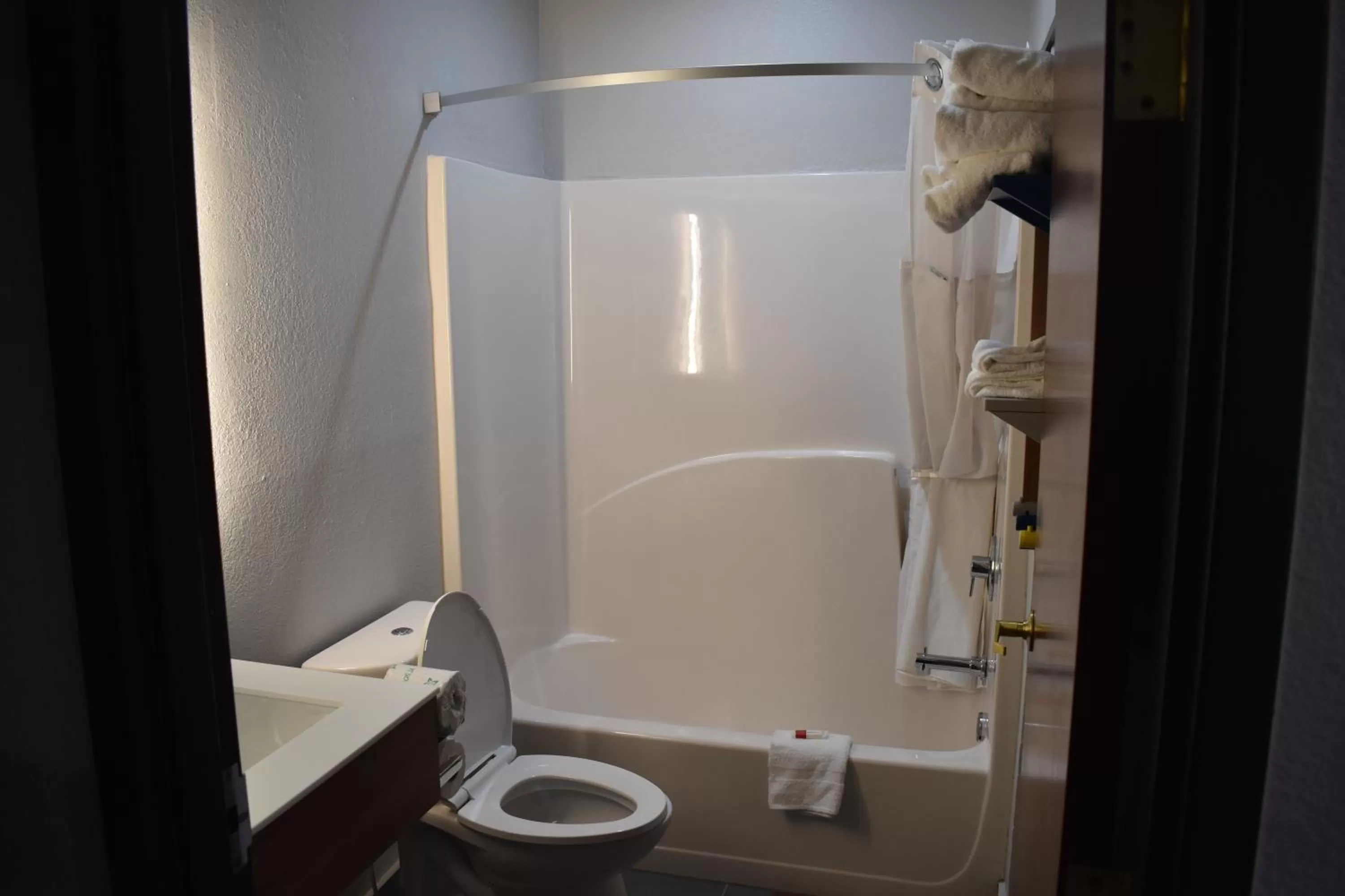 Bathroom in Microtel Inn & Suites by Wyndham Stockbridge/Atlanta I-75