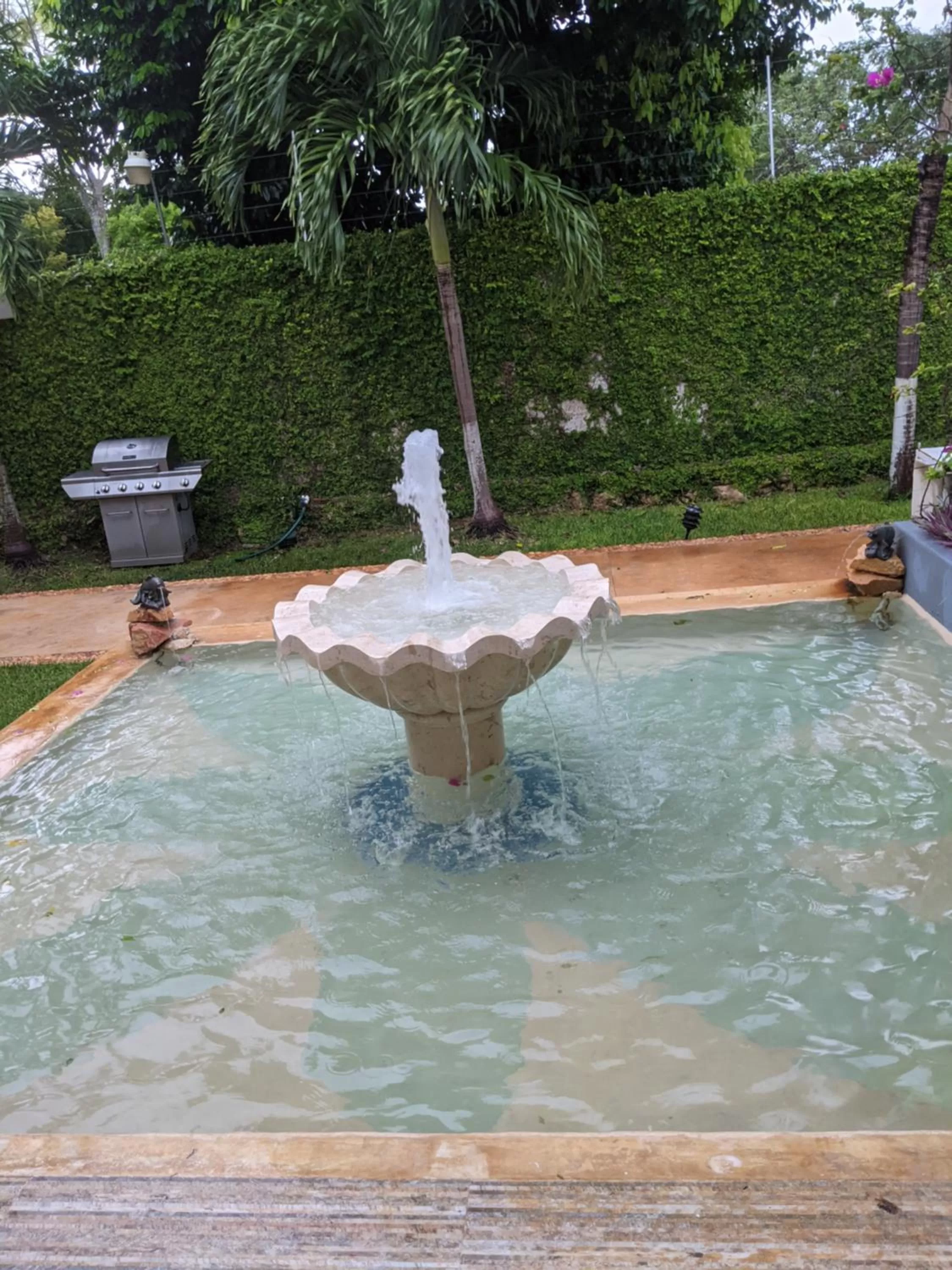 Garden in Casa Xcanatun