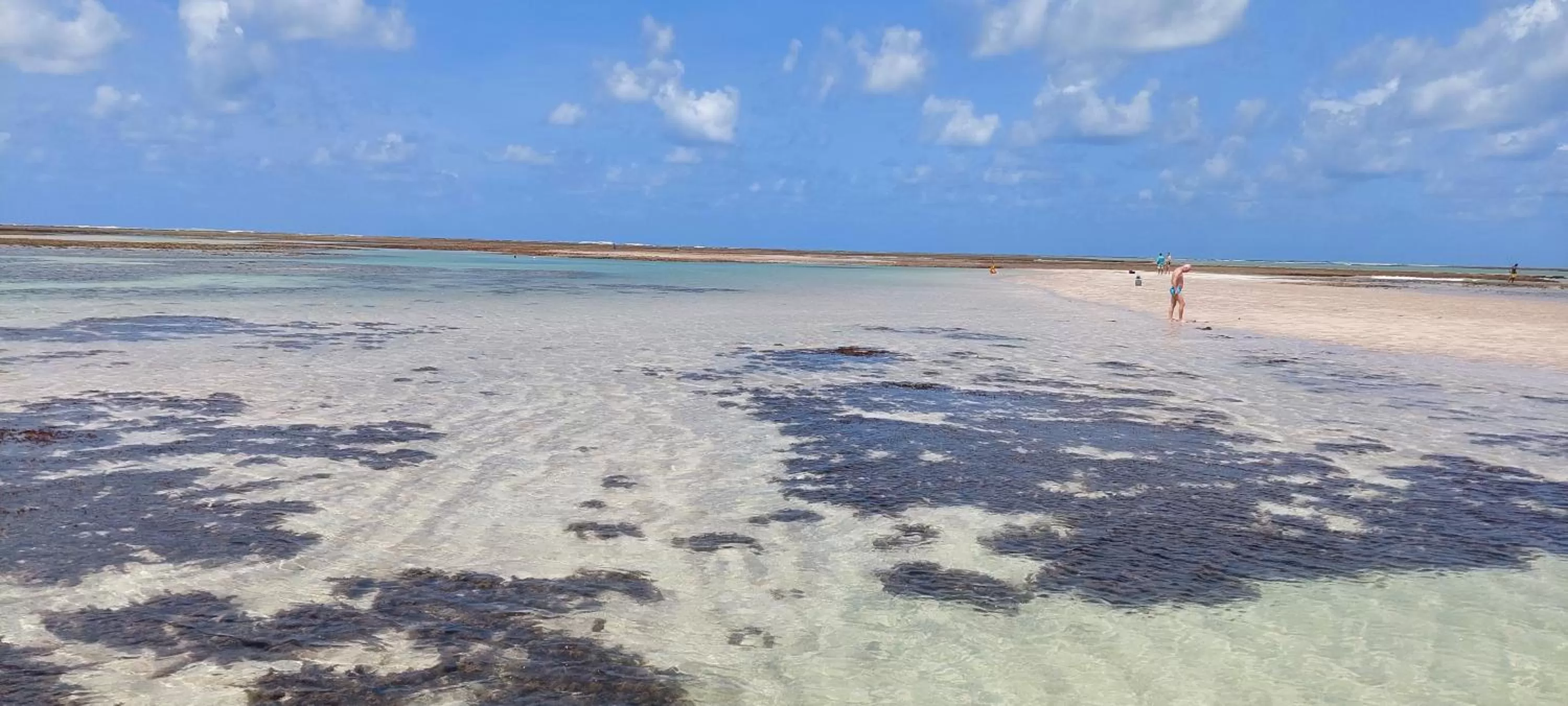 Natural landscape in Arataba Hotel Boutique e Bistrô - 150 mts do mar